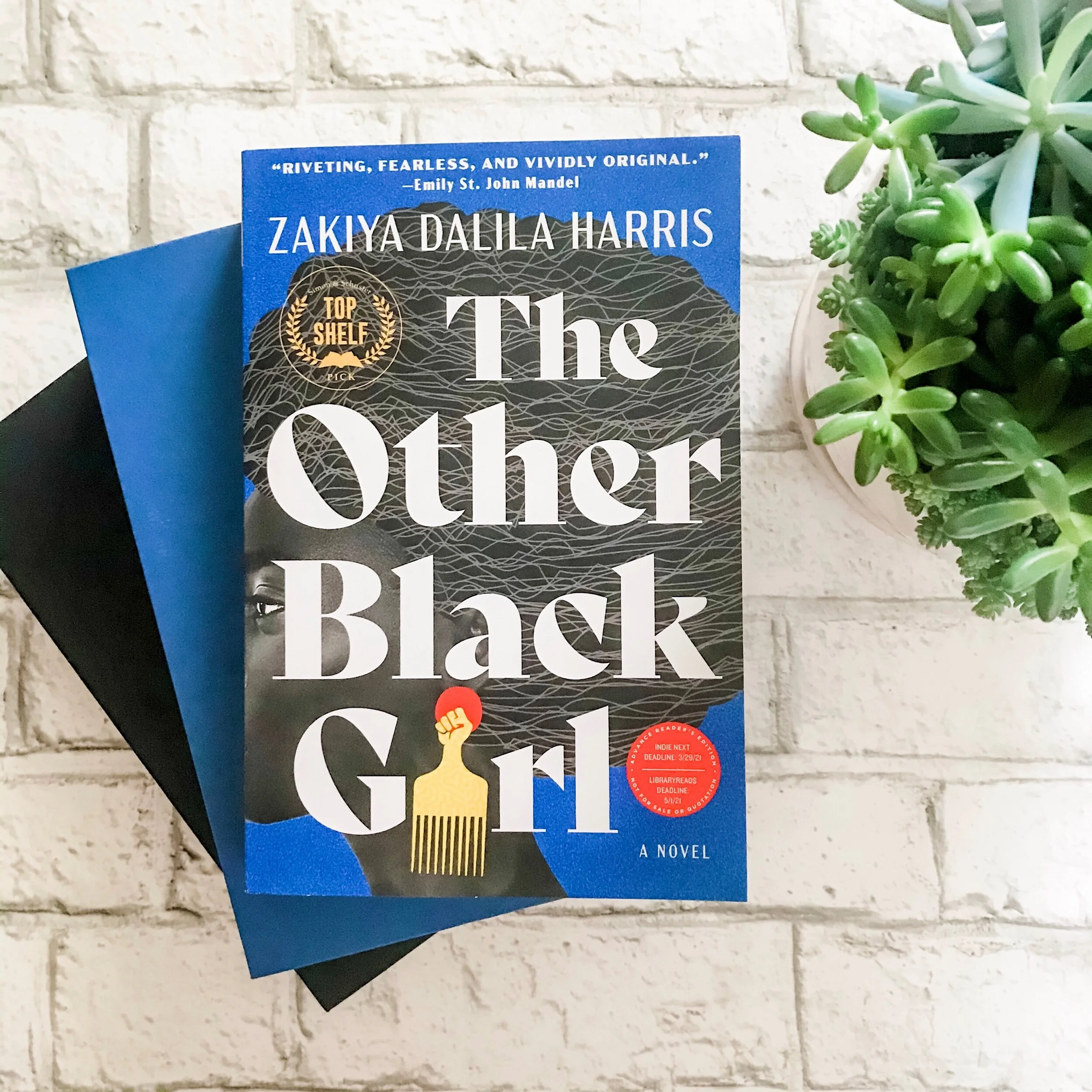 The Other Black Girl