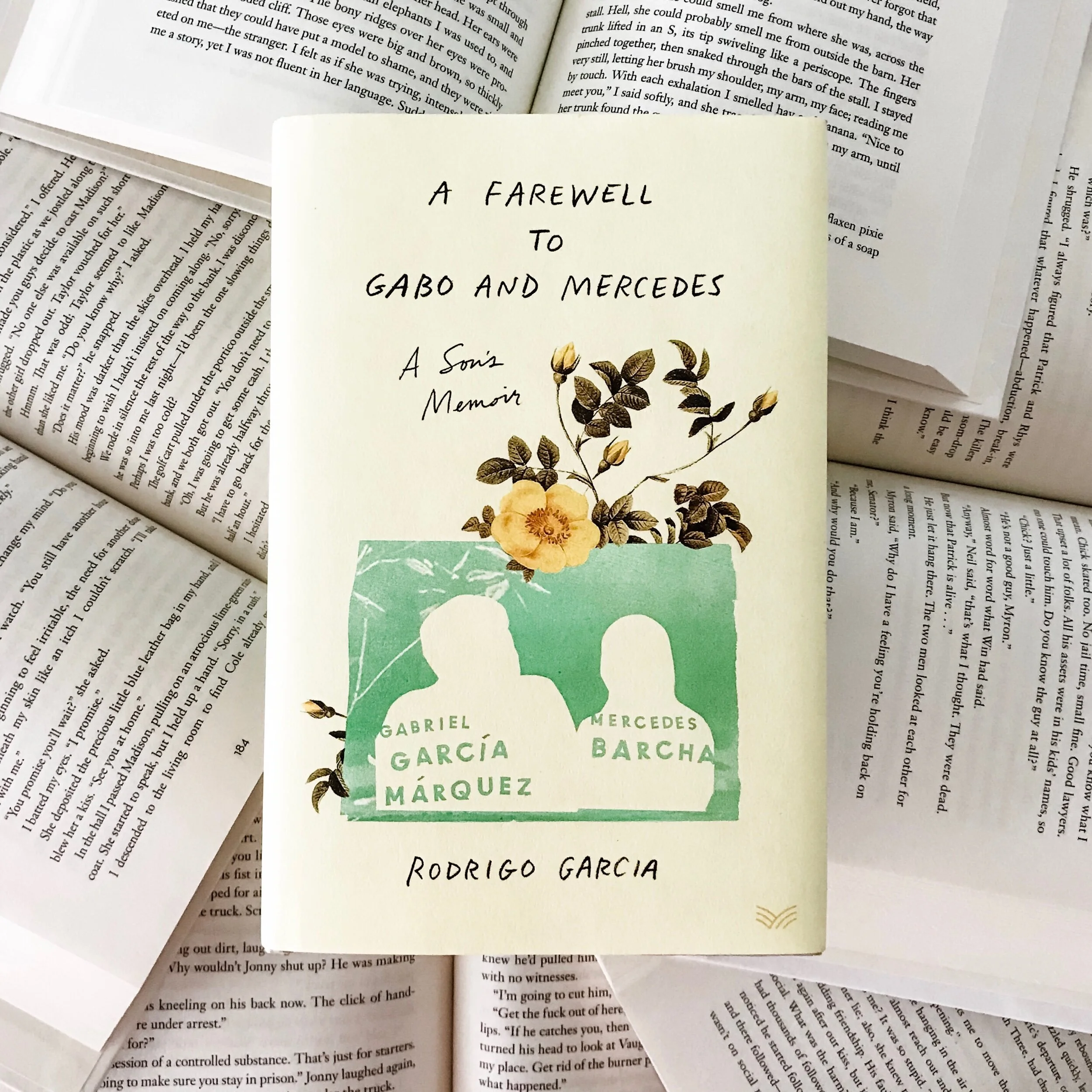 A Farewell to Gabo and Mercedes