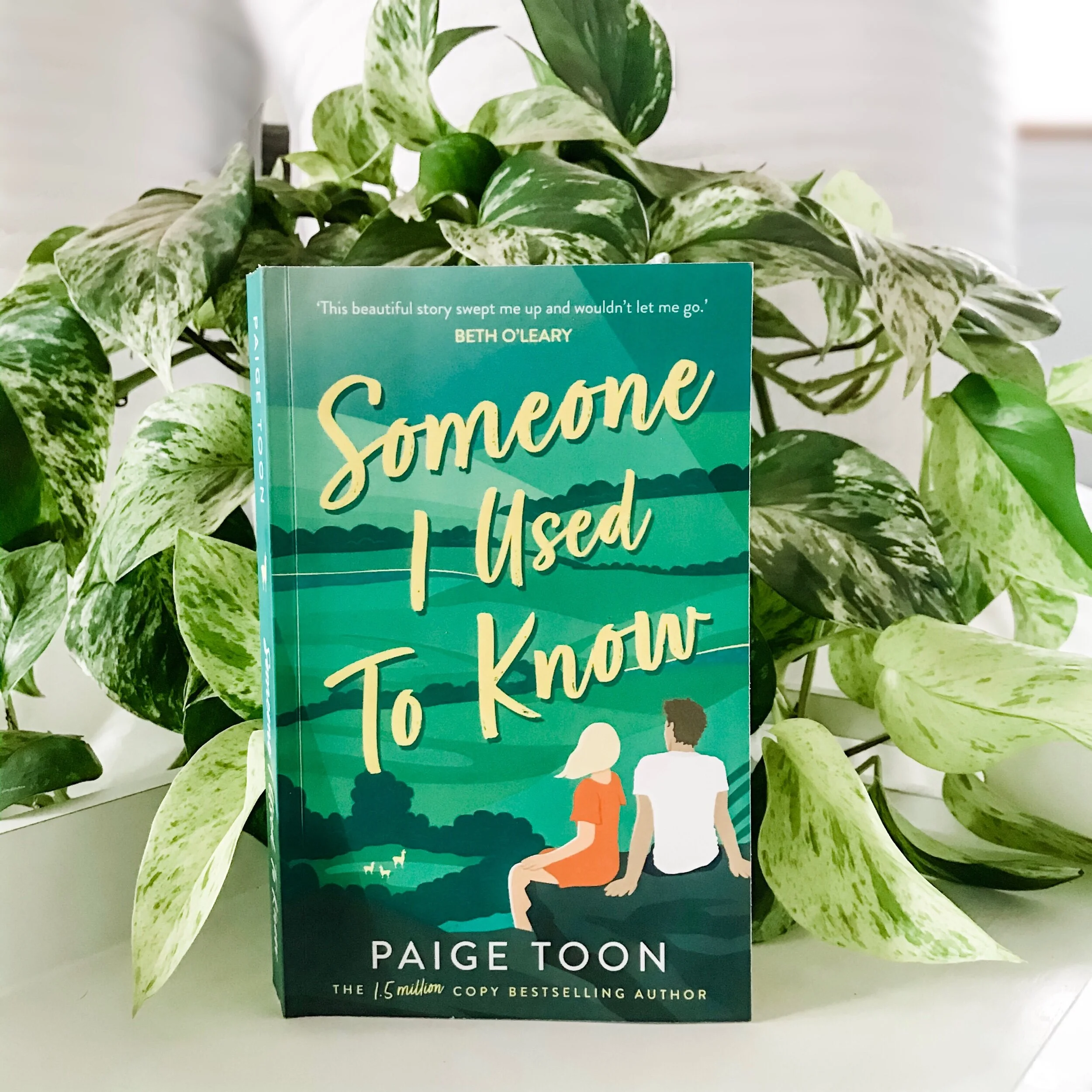 Someone I Used to Know