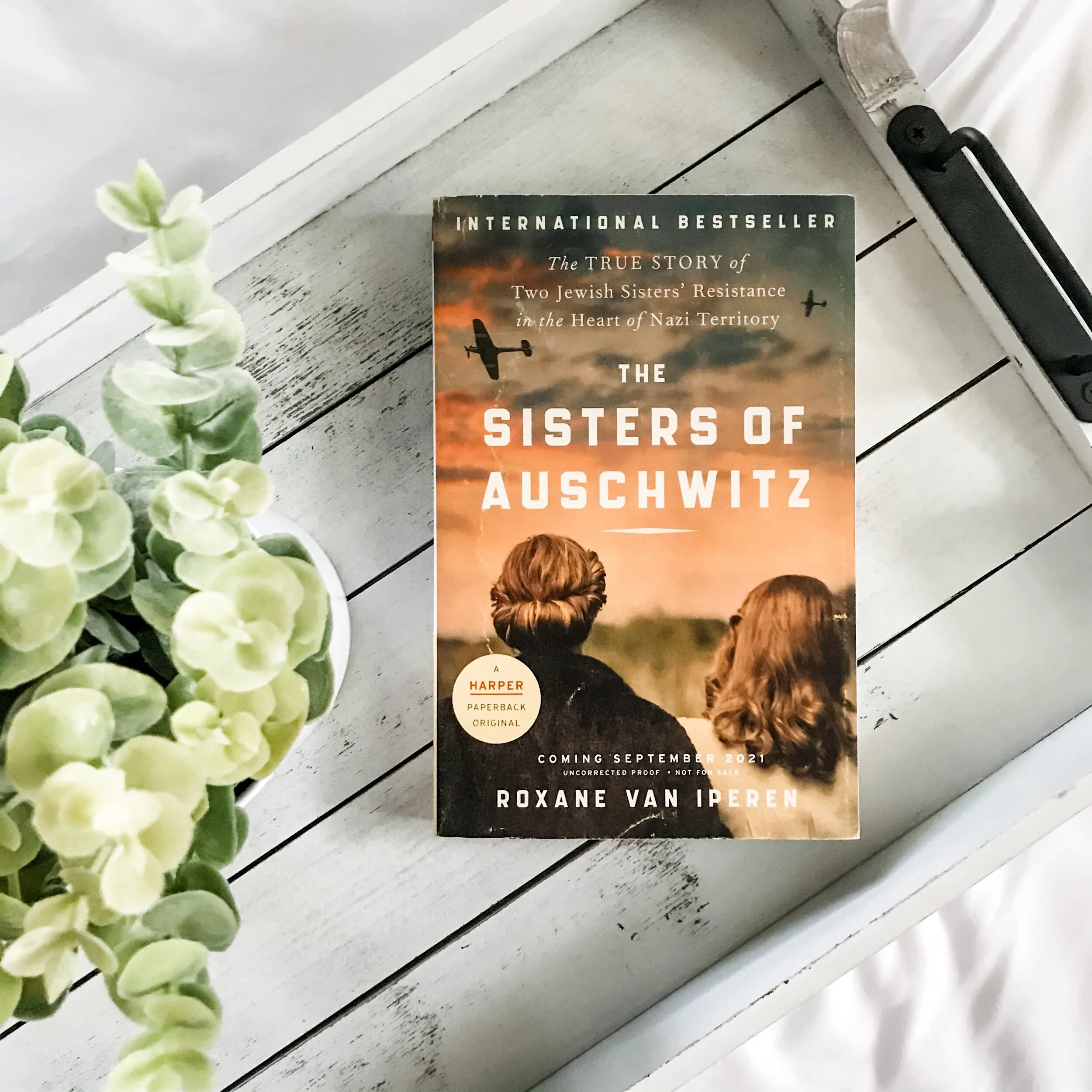 The Sisters of Auschwitz