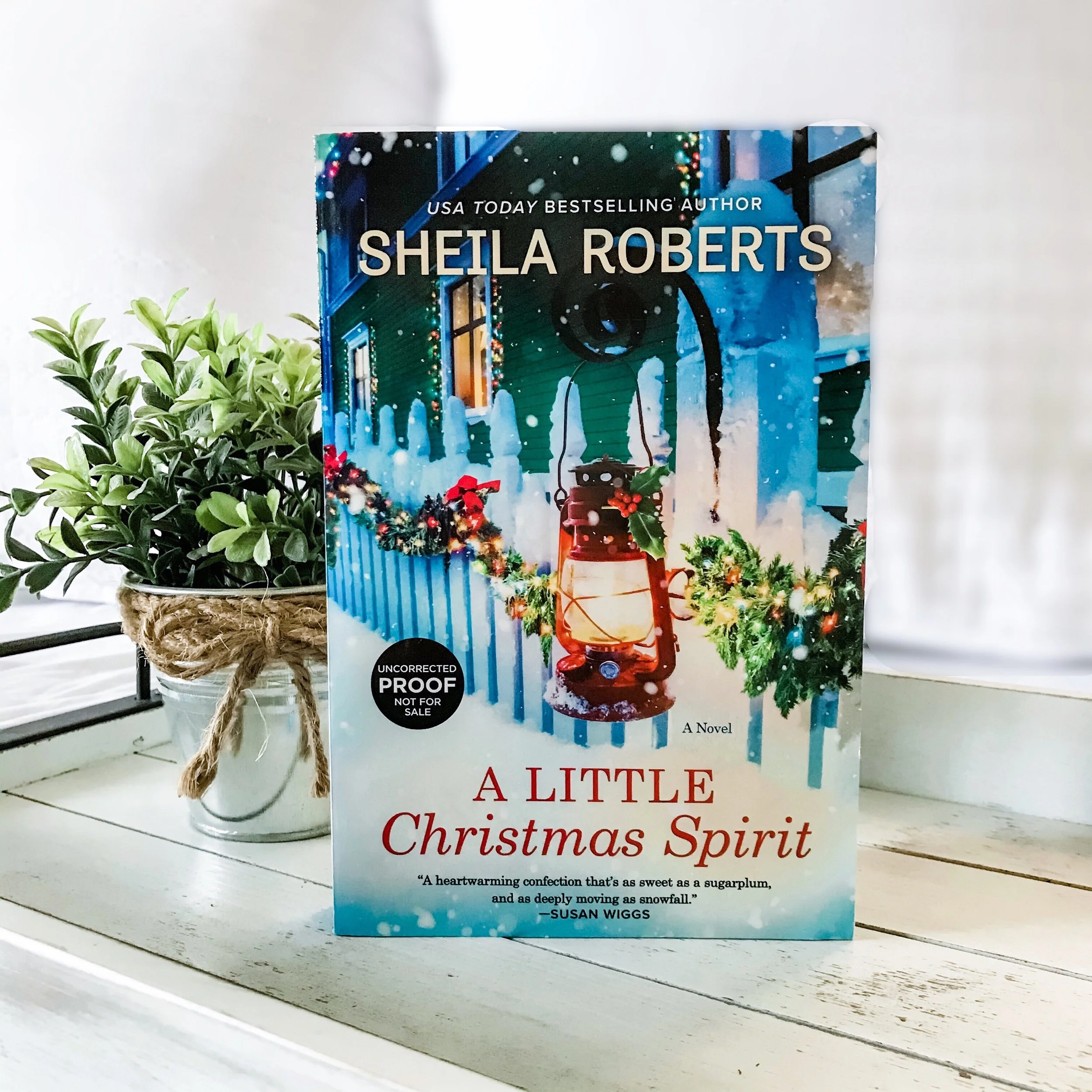 A Little Christmas Spirit