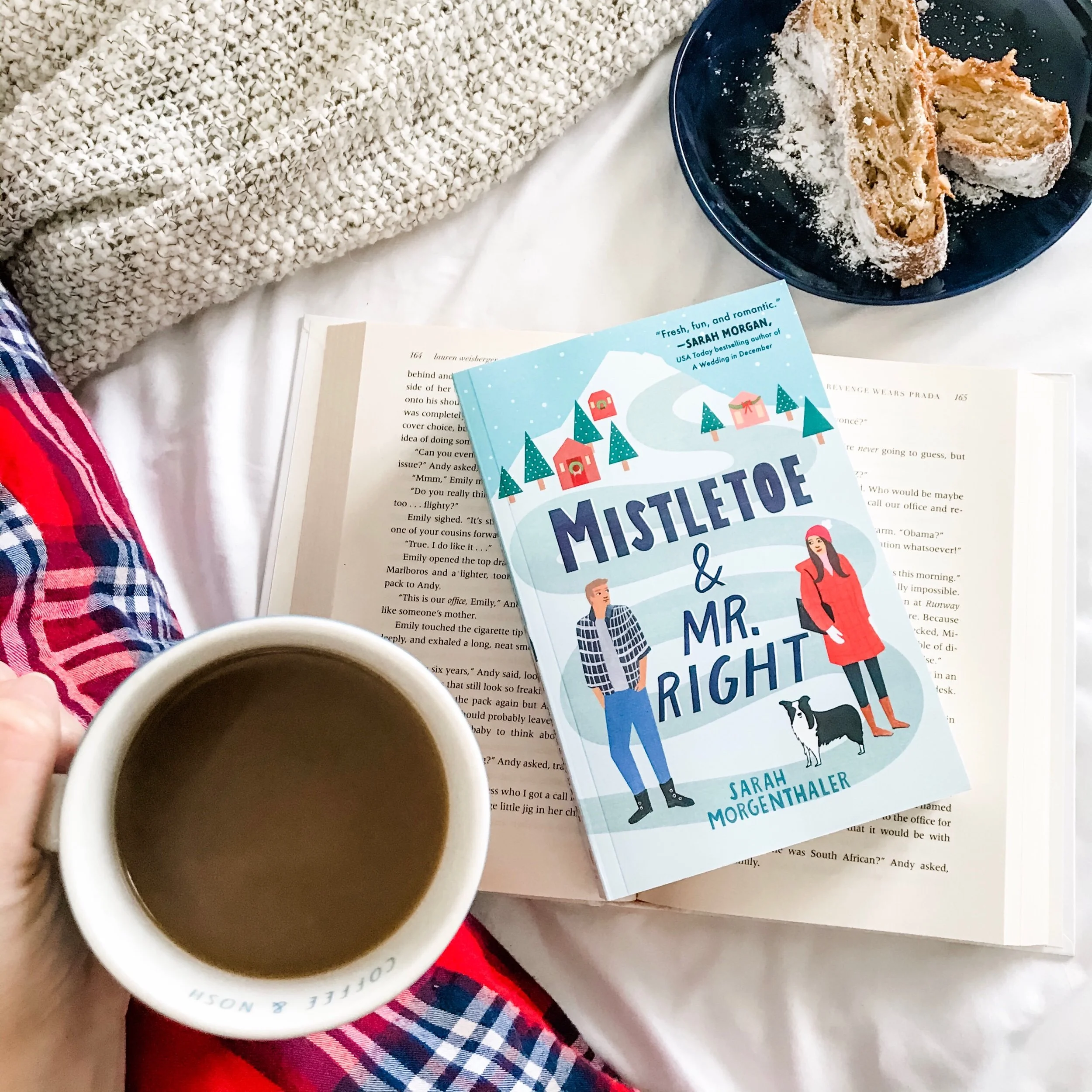 Mistletoe and Mr Right