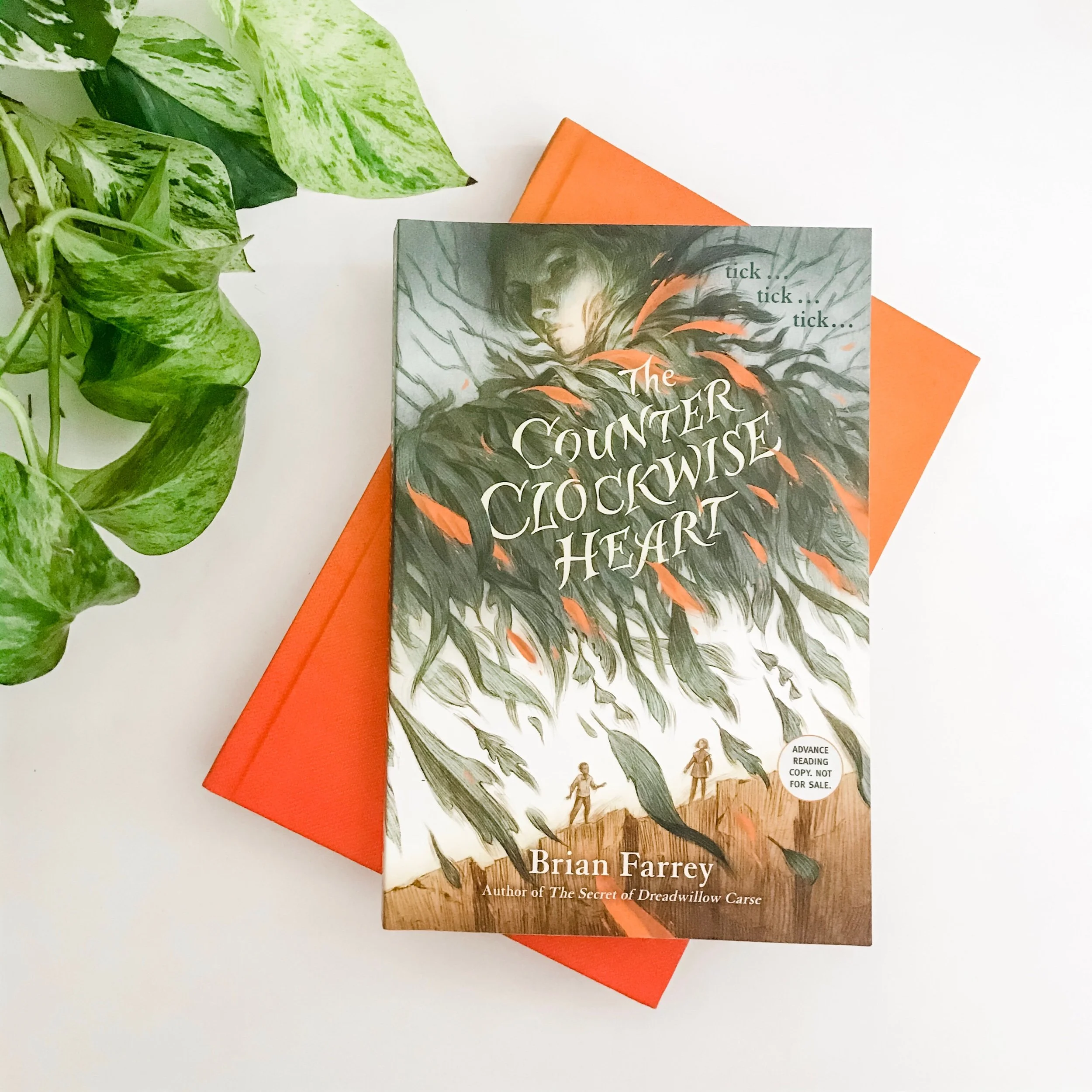 The Counterclockwise Heart