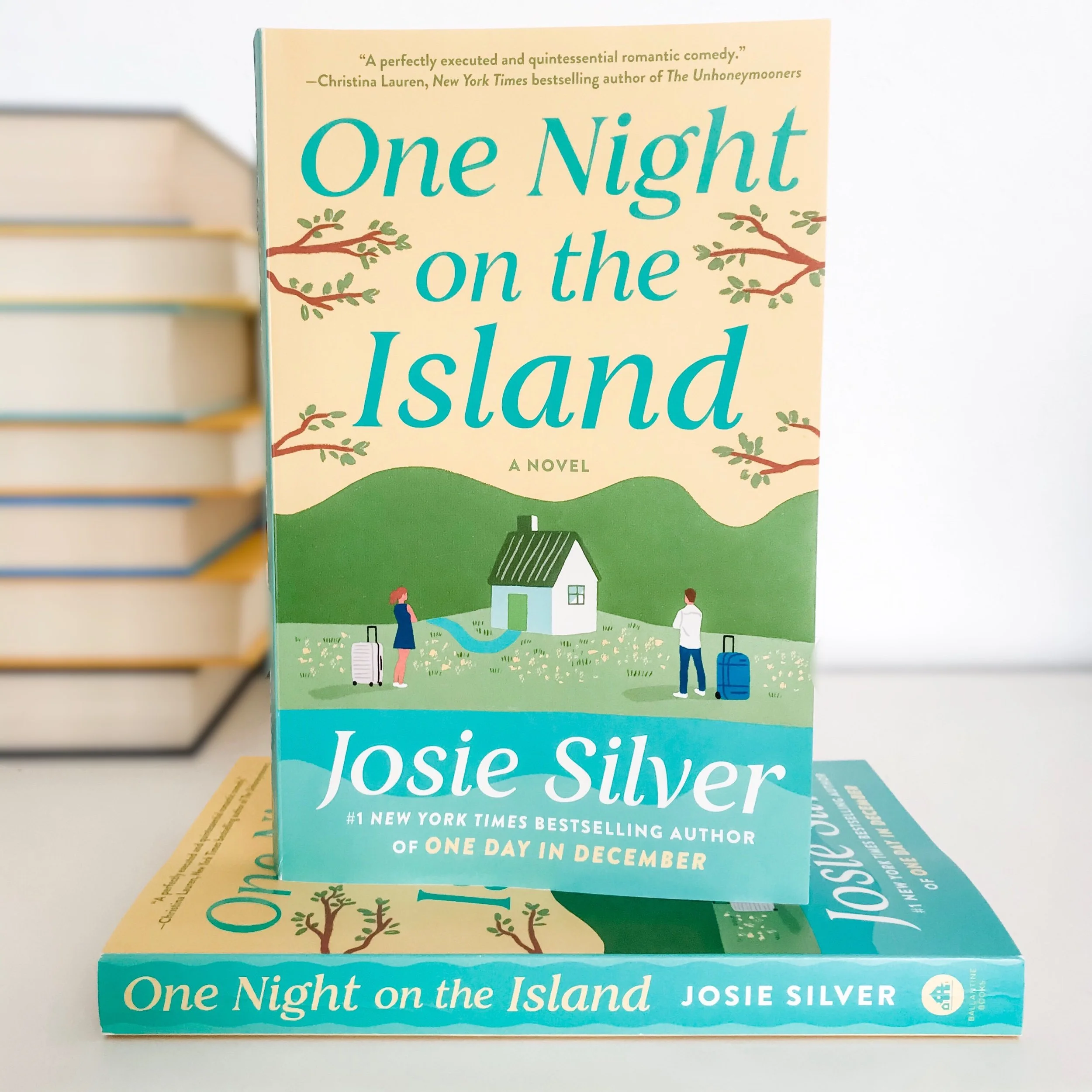 One Night on the Island