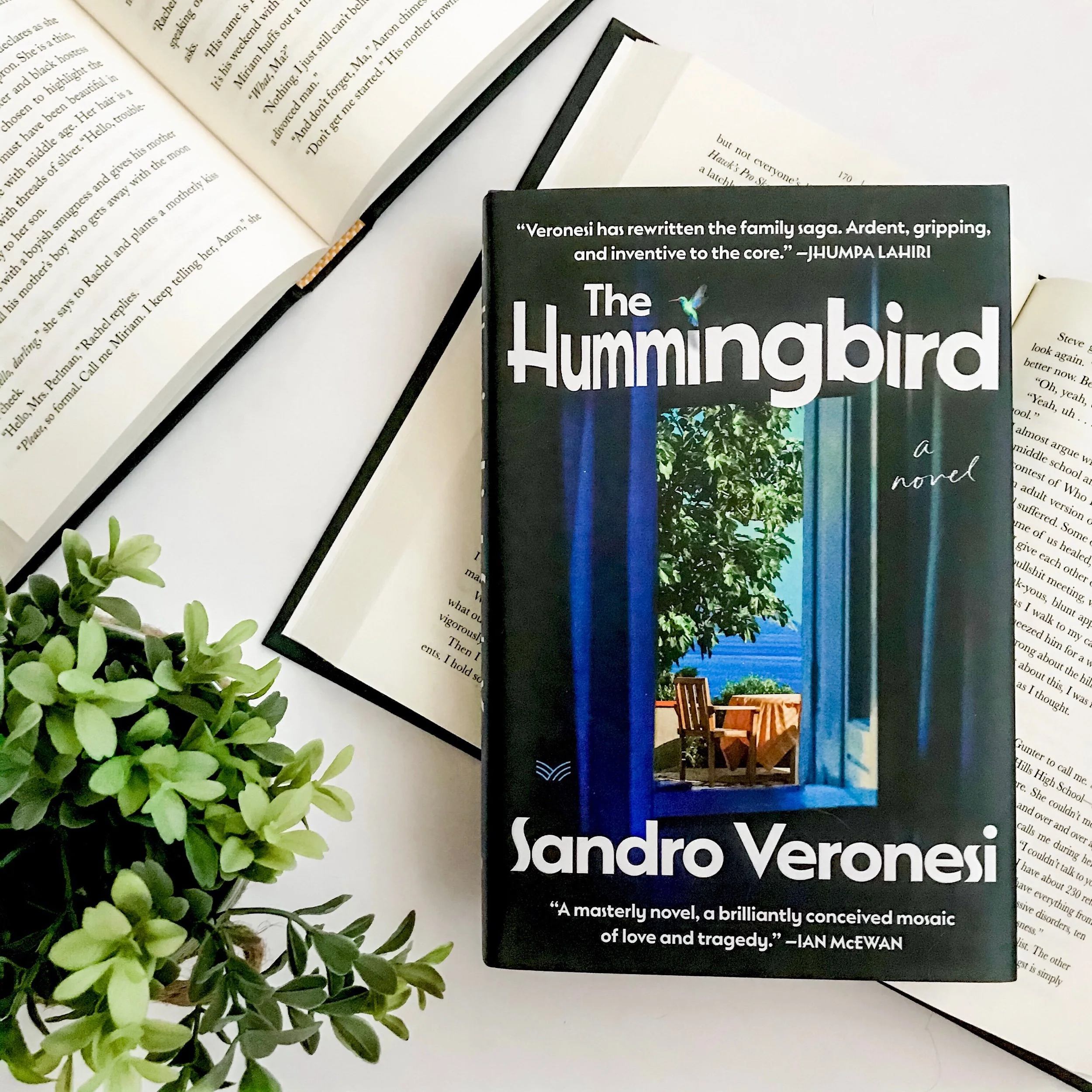 The Hummingbird