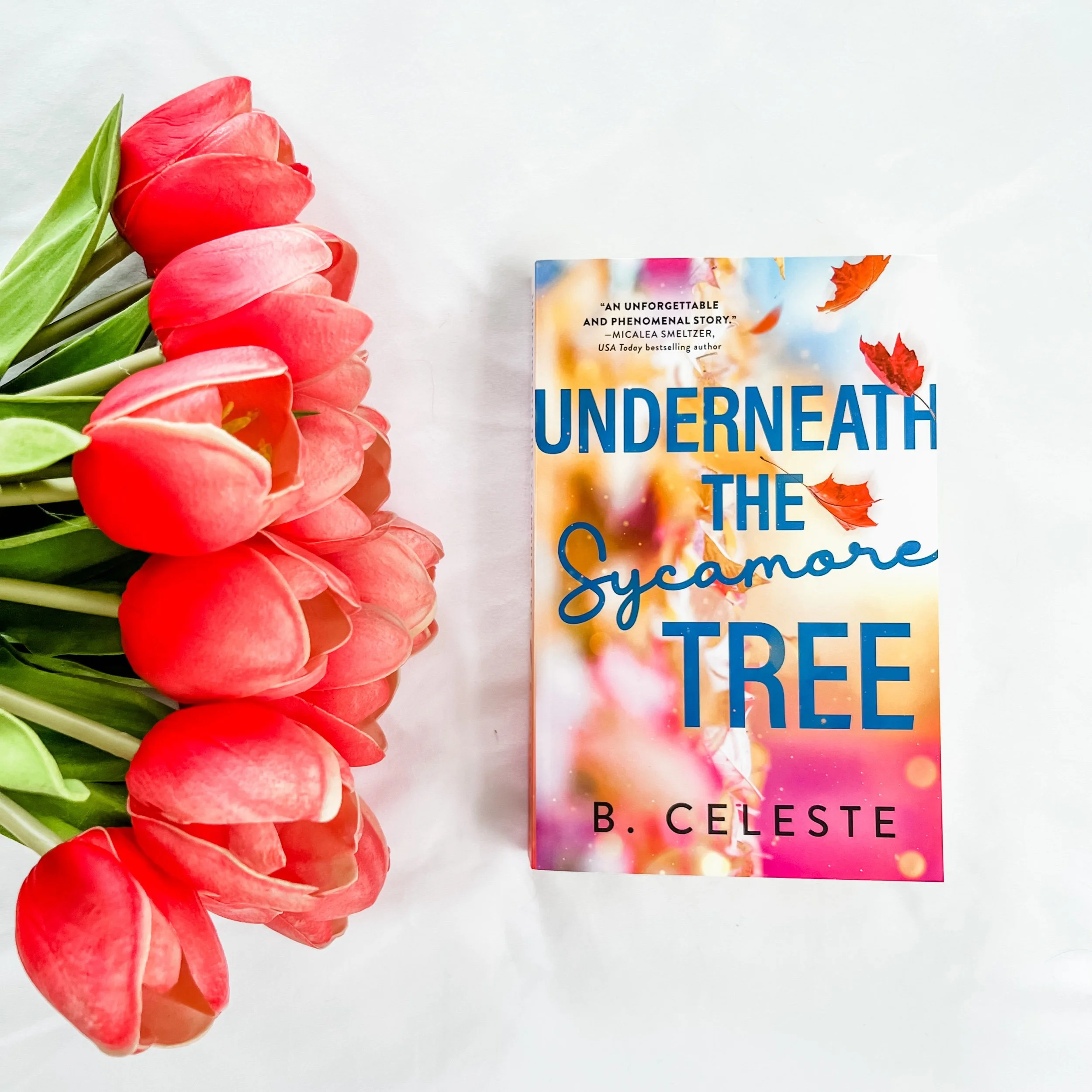 Underneath the Sycamore Tree