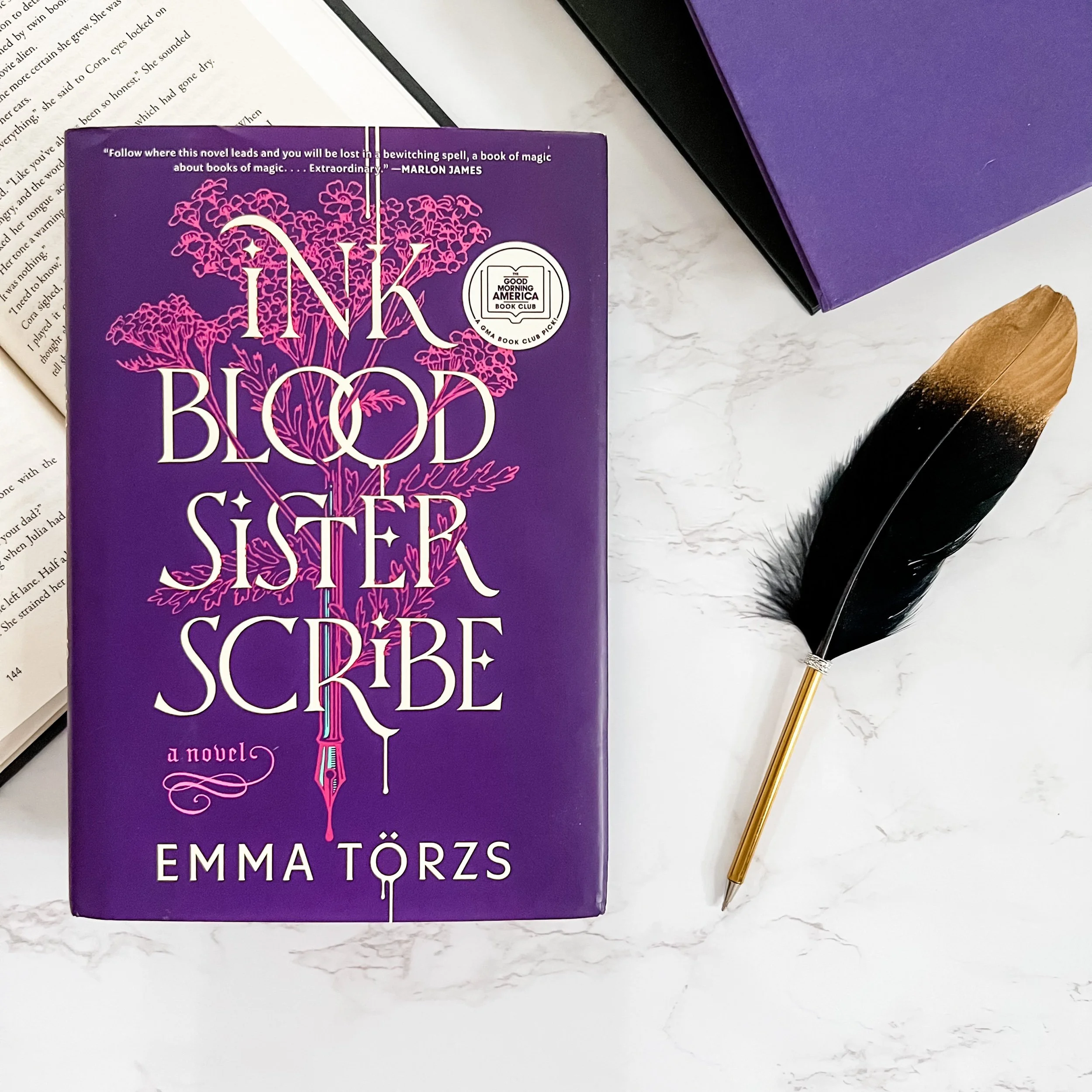 Ink Blood Sister Scribe