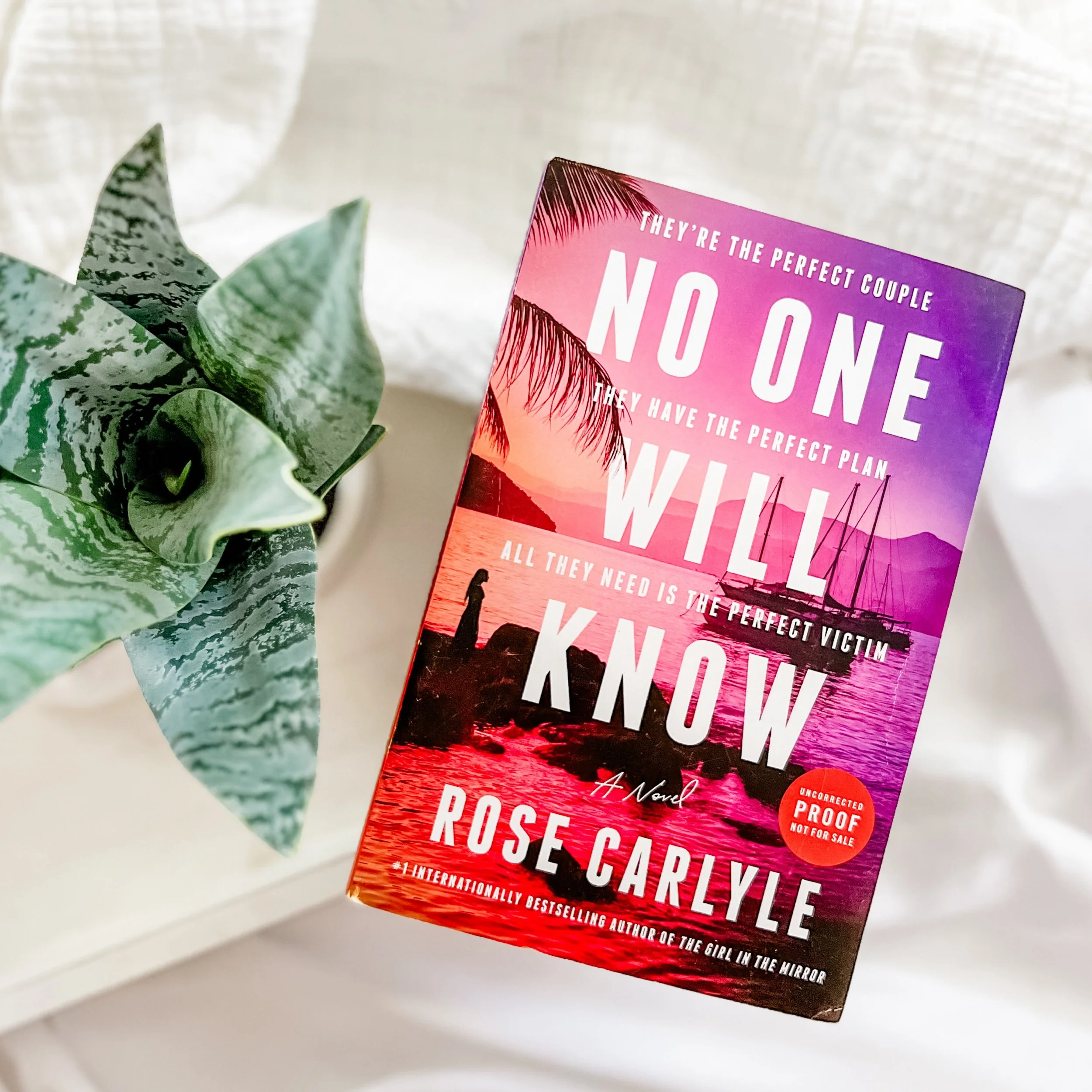 No one Will Know & Reading Update 