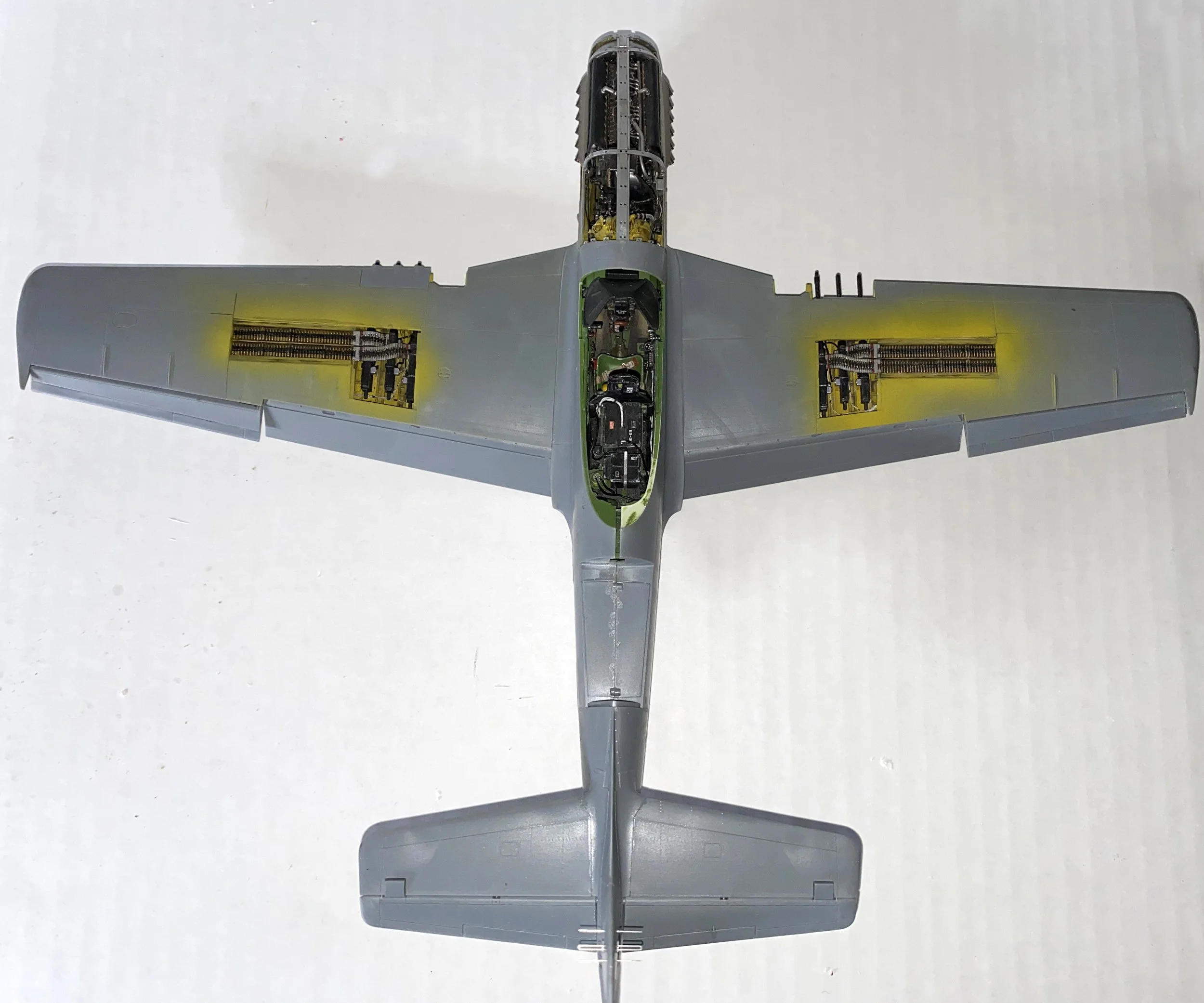 p51k-2_55505994423_o.jpg
