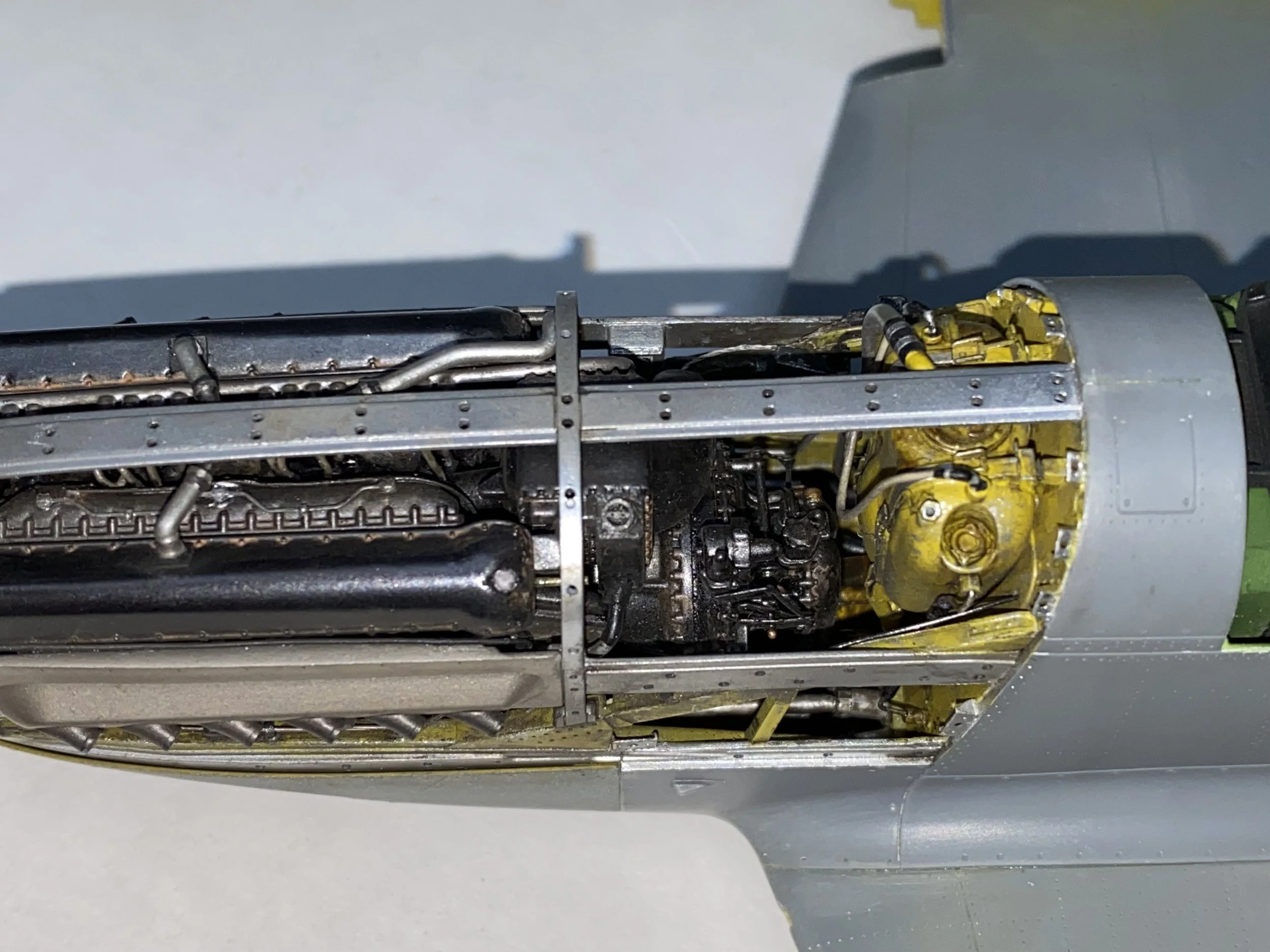 p51k-4_55505891011_o.jpg