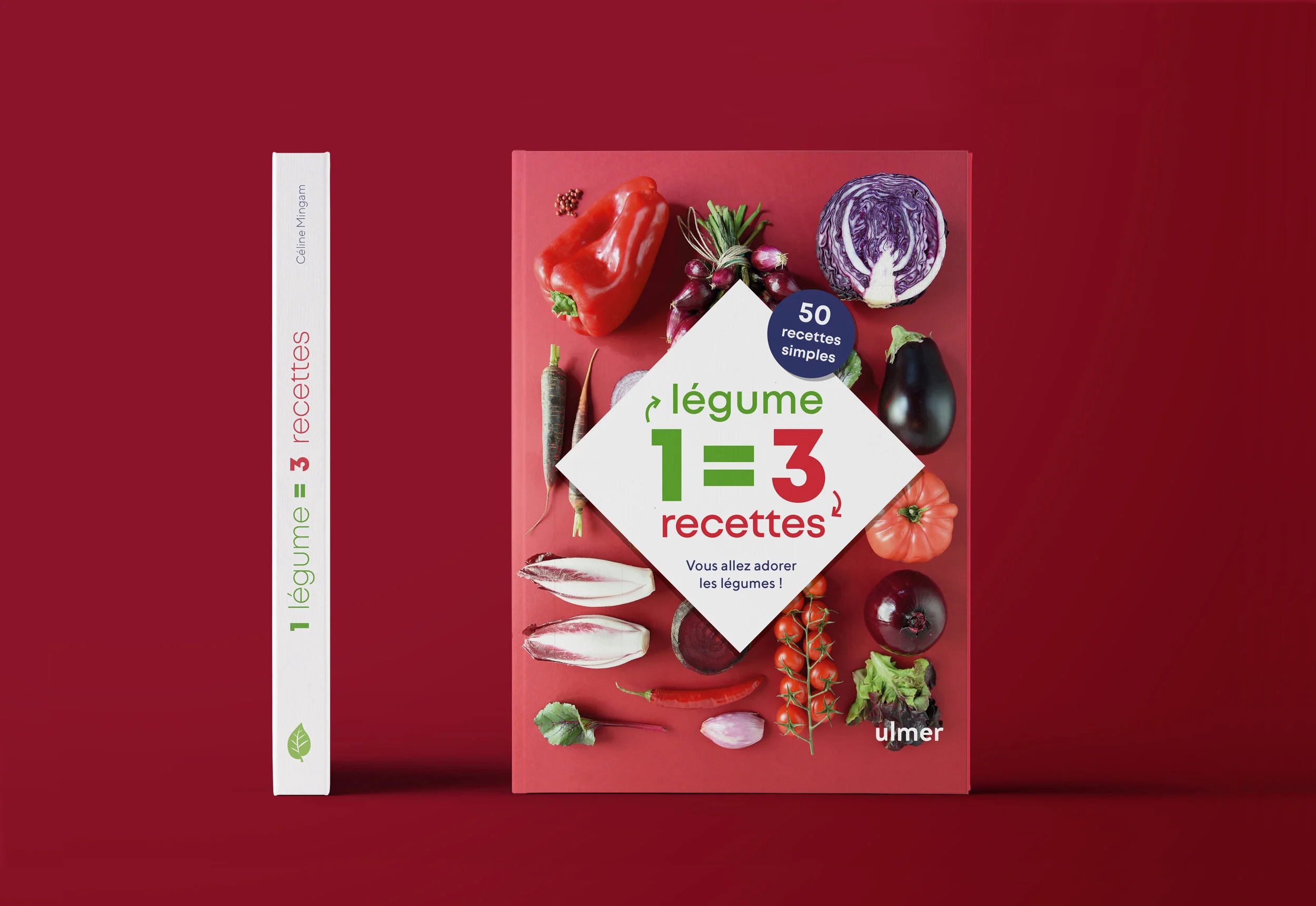Book Cover 1legume3recettes-1.jpg