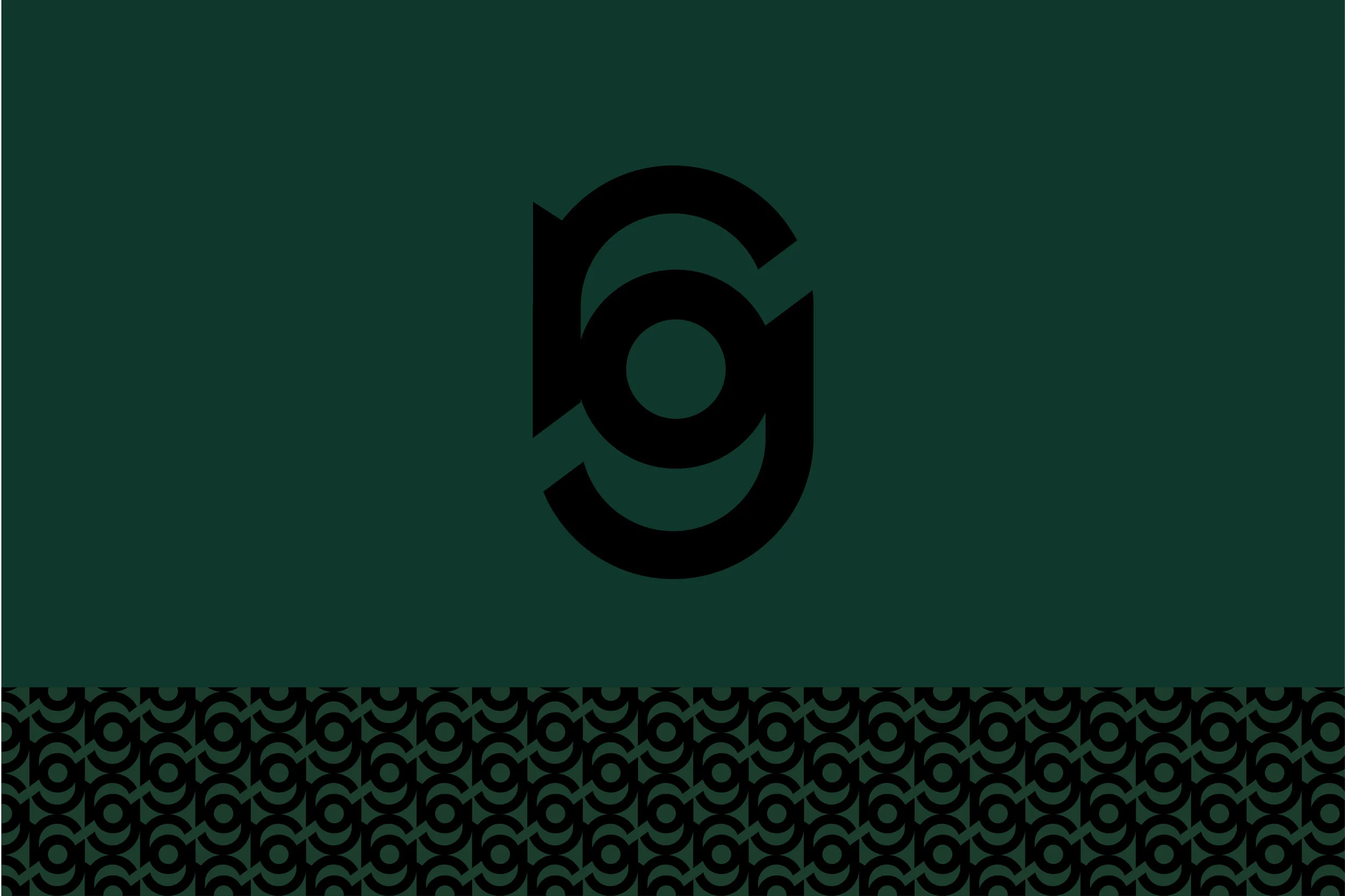 RomainGuittet photographe logo-1.jpg