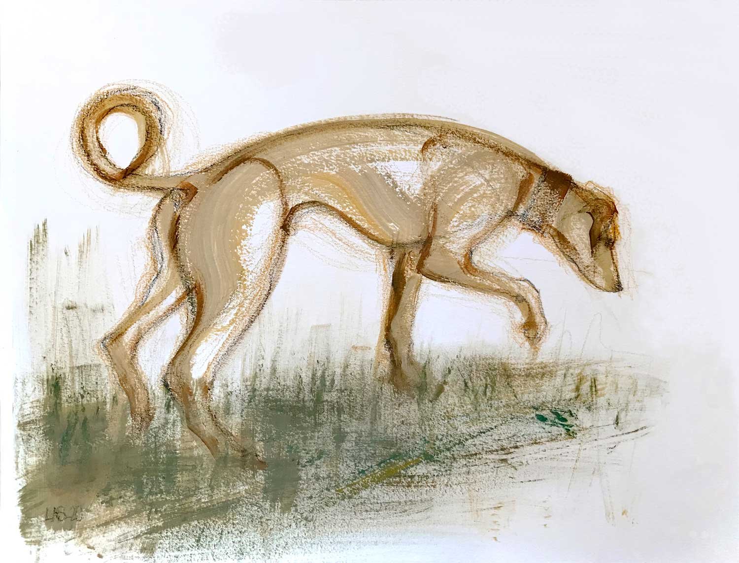 Curly Tailed Hound I