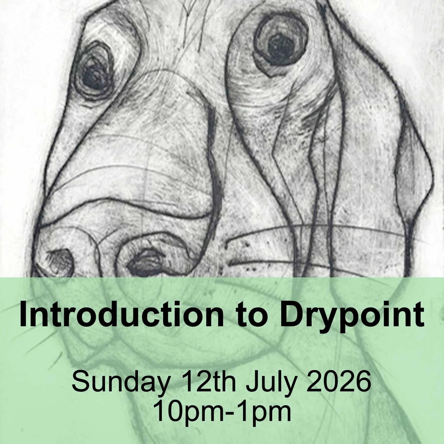 IntroDayDrypoint_12July_web.jpg