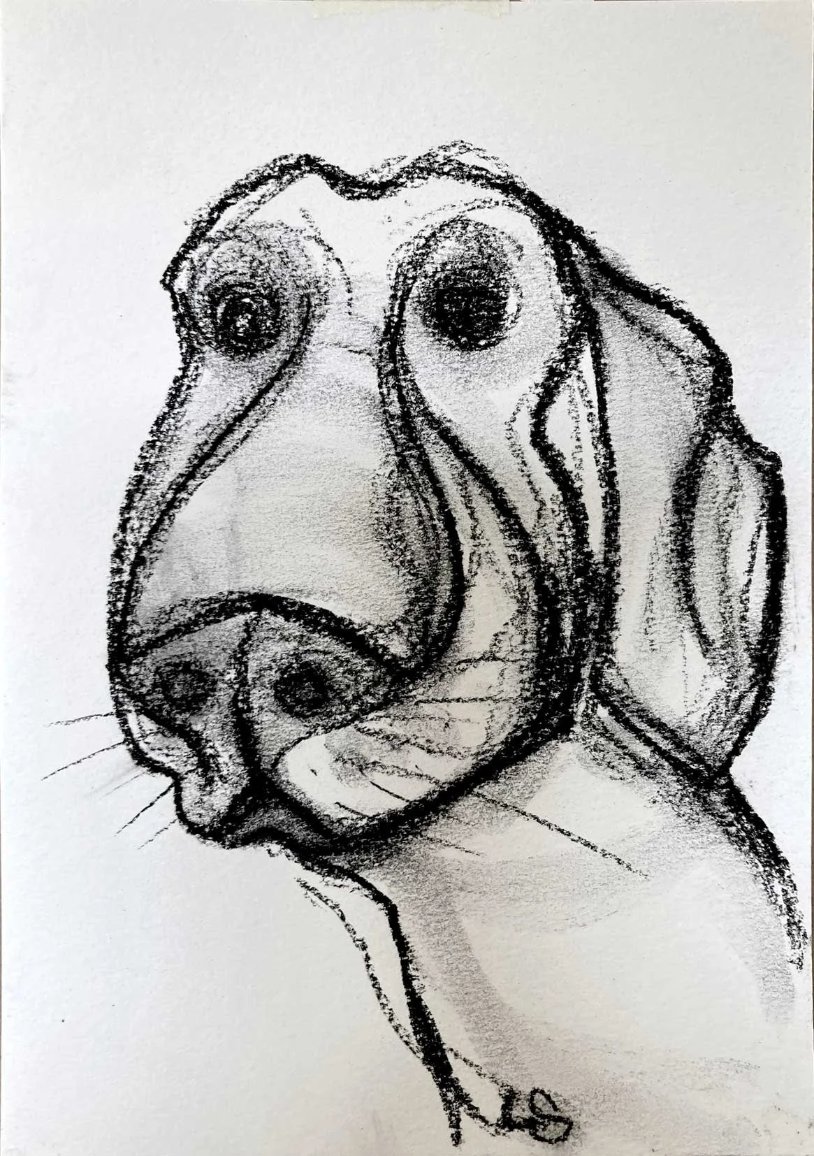 BigNose1_72dpi.jpg