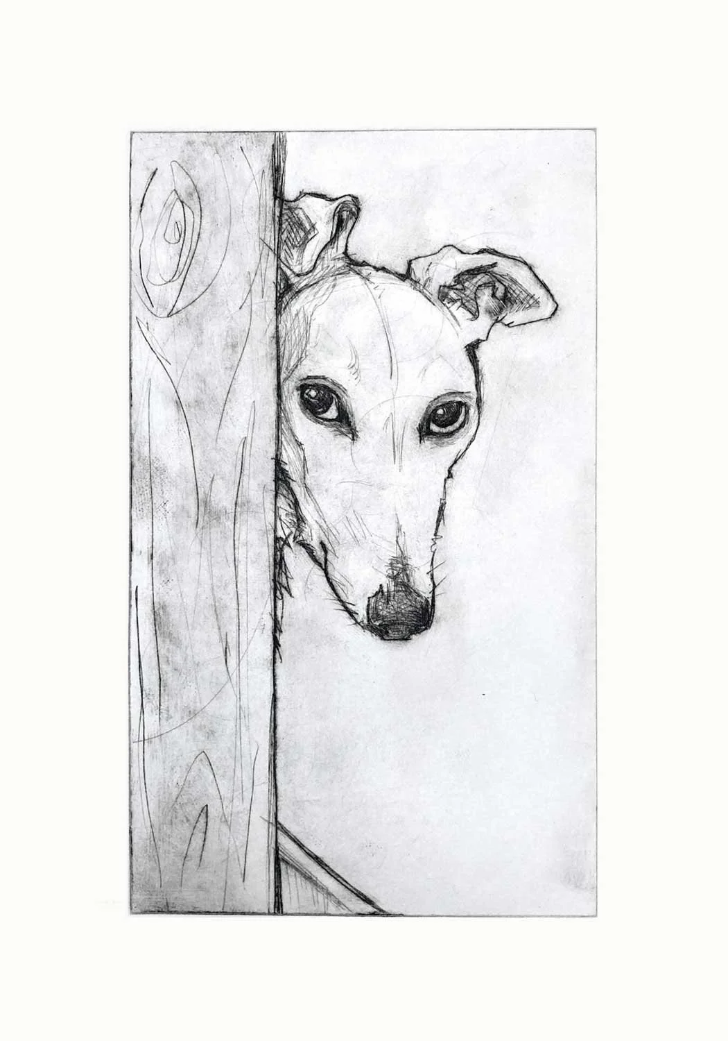 LurcherByDoor_EB.jpg