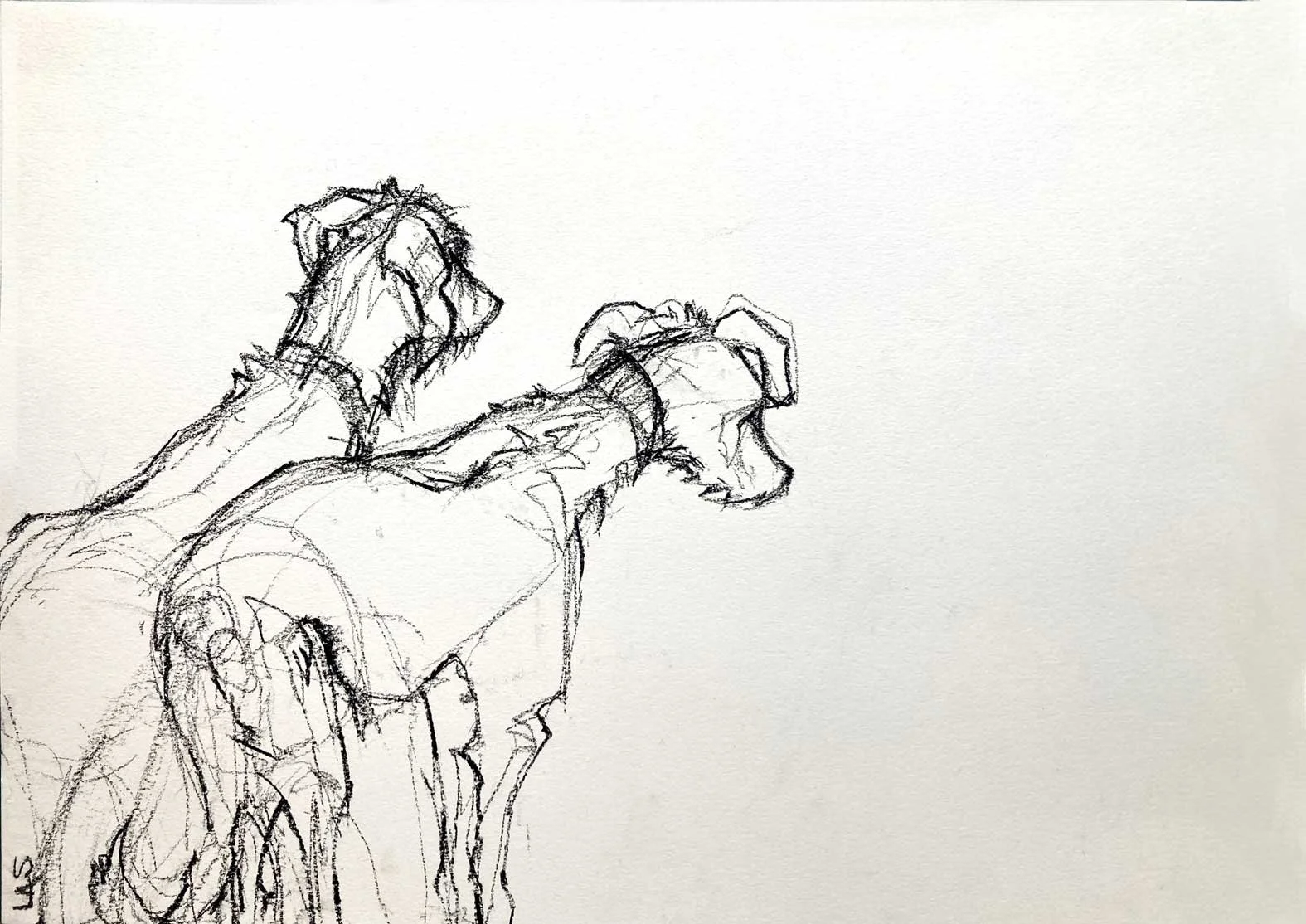 DogsWaiting1_72dpi.jpg