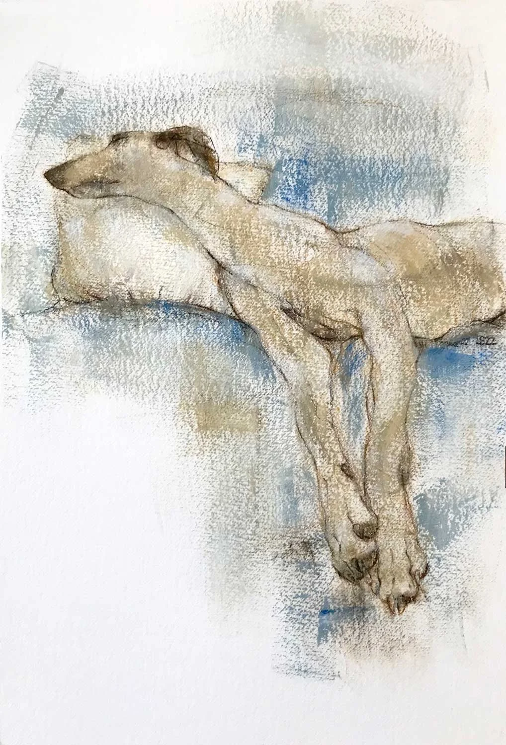 LurcherLounging_56x38cm_WEB.jpg