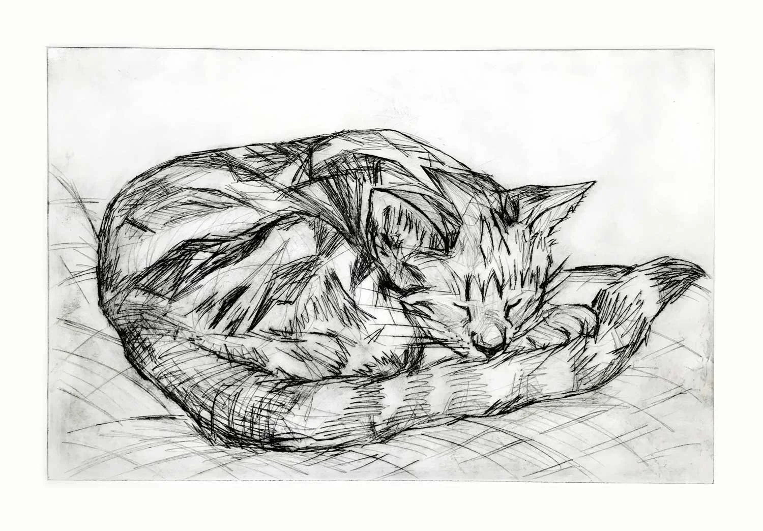 CurledUpCat_dp_20x30cm_WEB.jpg