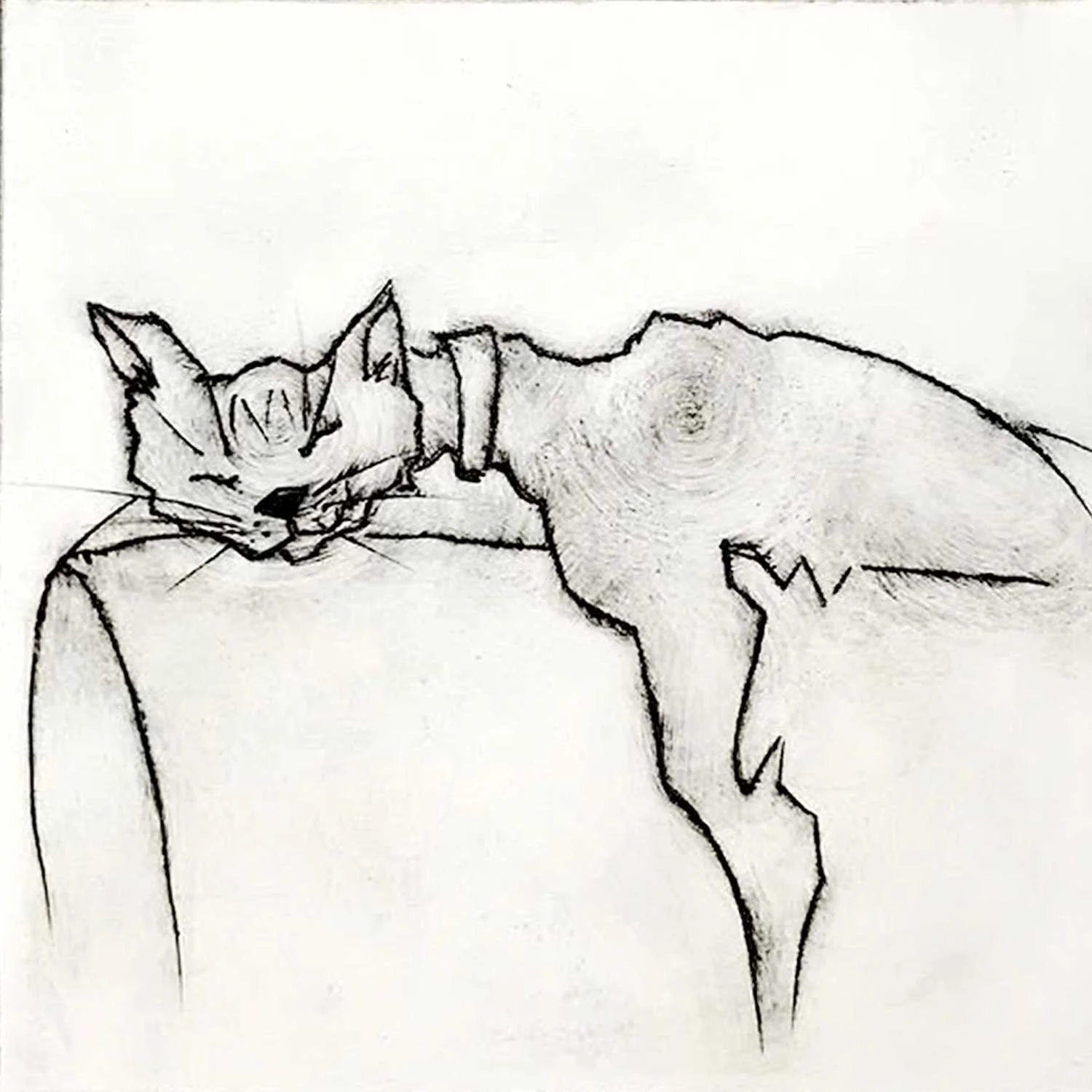 WonkyCat_DP_WEB.jpg