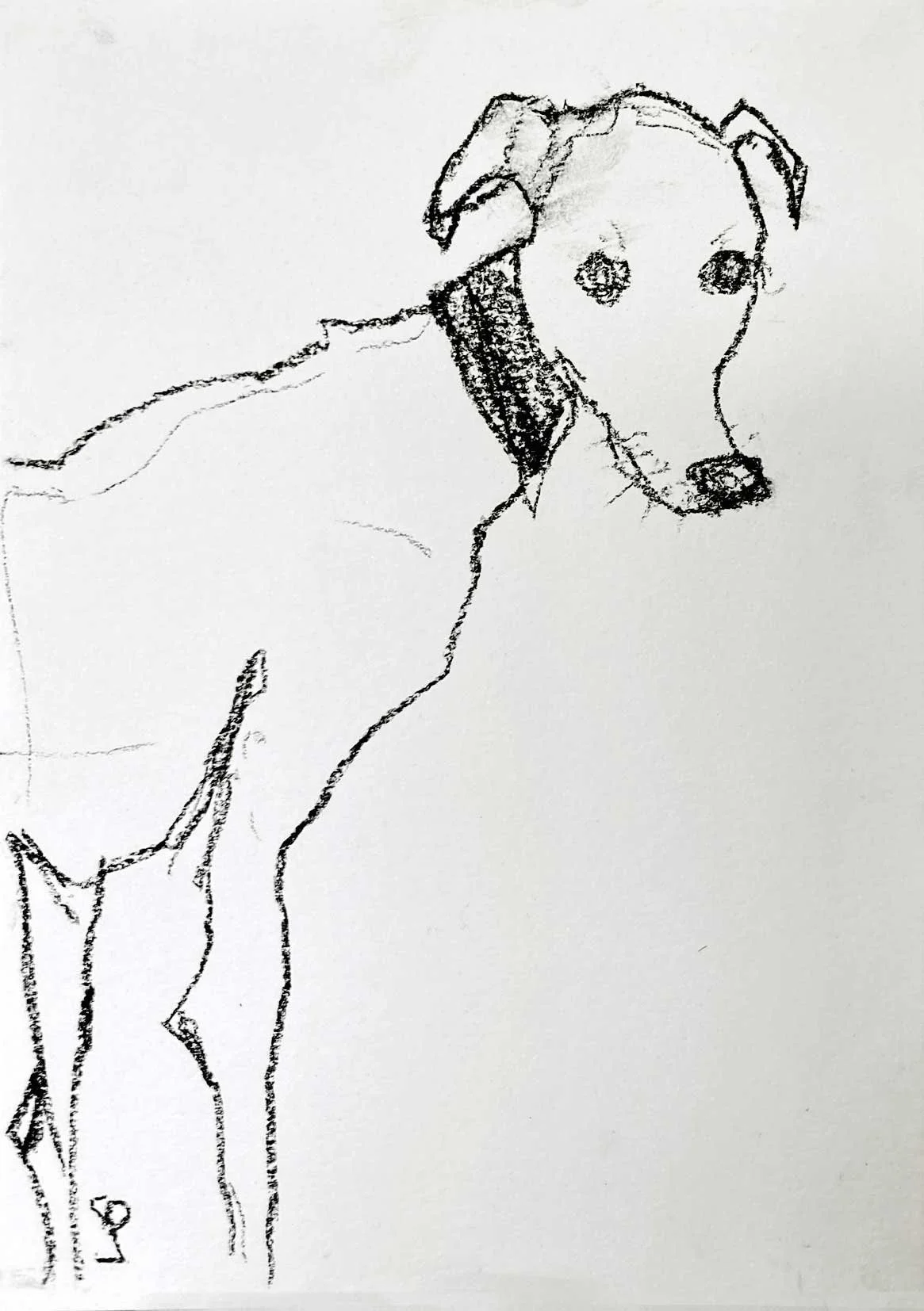 LostDog_72dpi.jpg