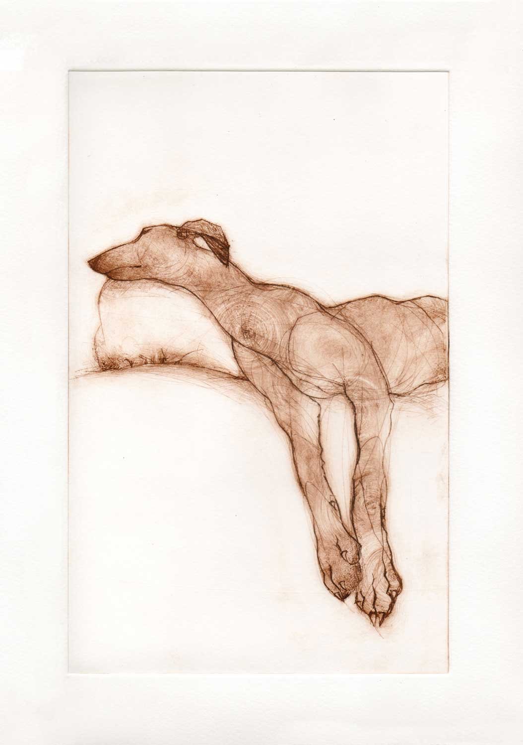 LurcherLounging_dp26x16cm_WEB.jpg