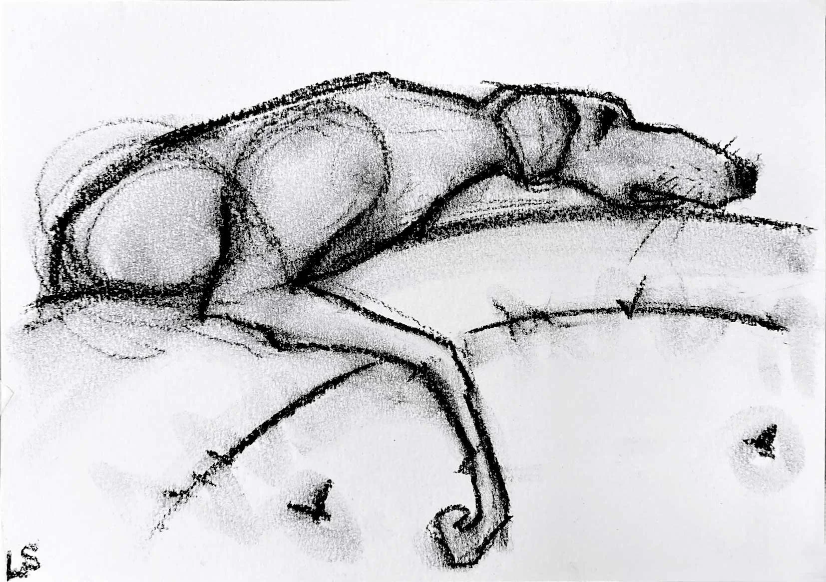SofaSprawl1_72dpi.jpg