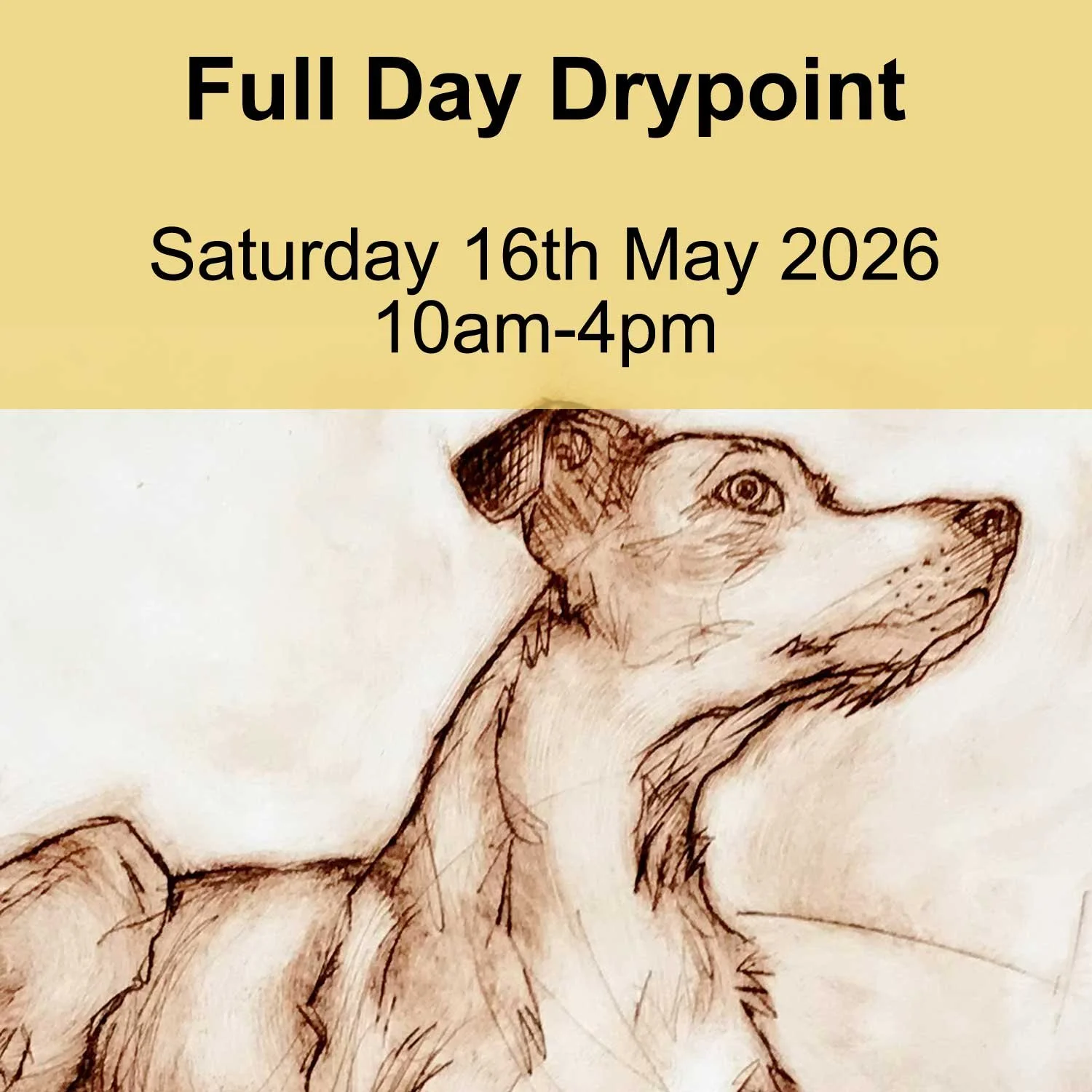 FullDayDrypoint_16May_web.jpg