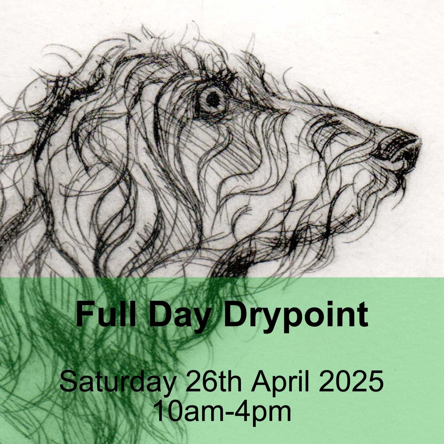 FullD_Drypoint_Sat_April26_WEB.jpg