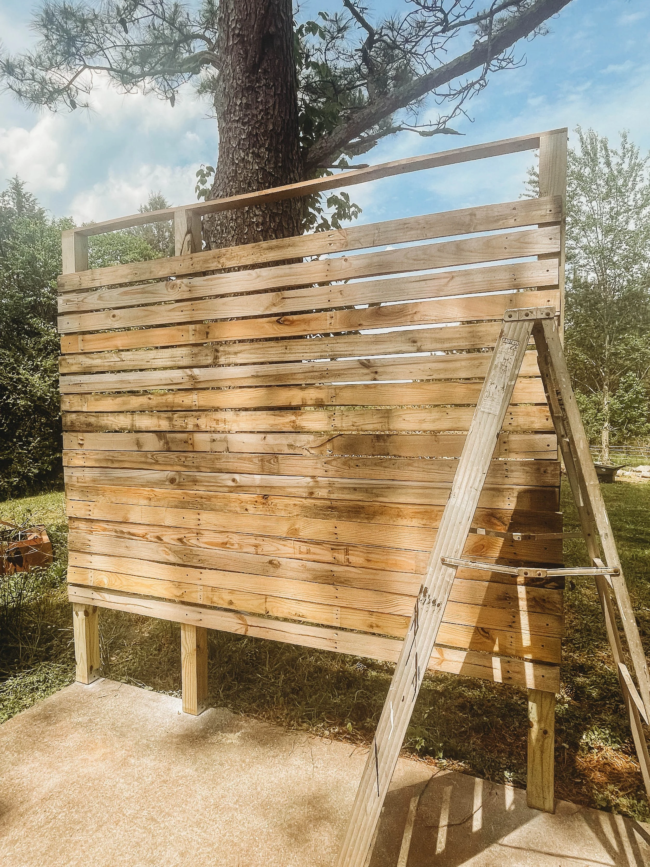 Robertson Ceremony-5.jpg