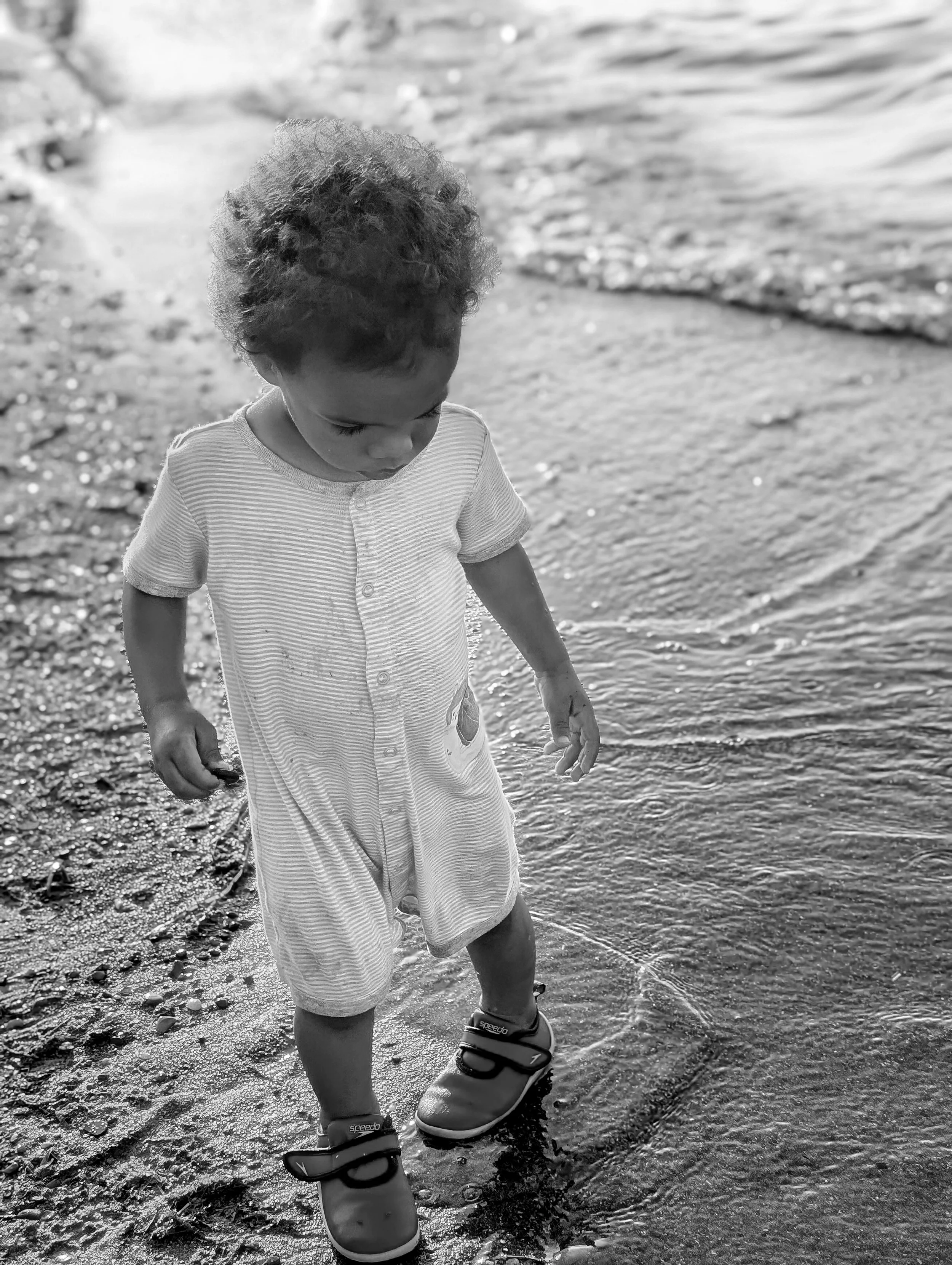 walk the beach.jpg