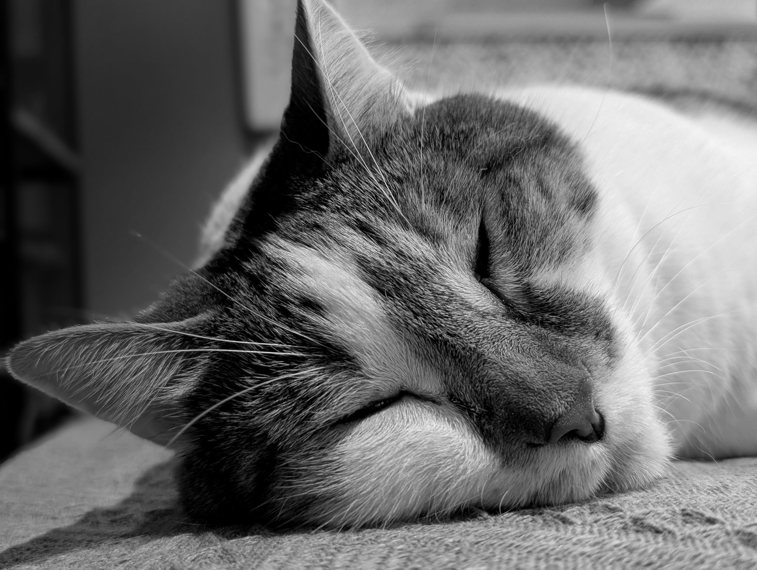 waking moment (BW).jpg