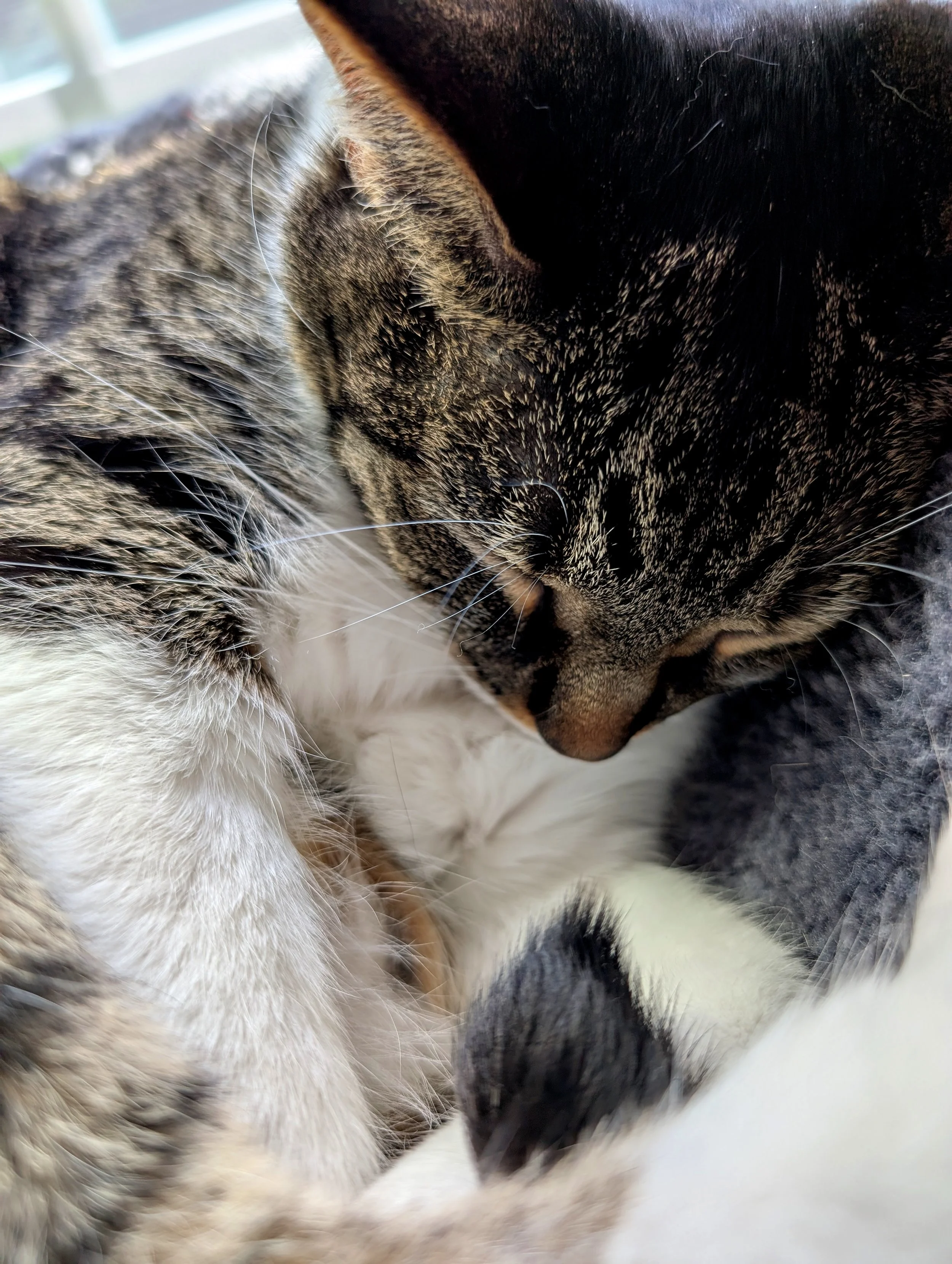 resting.jpg