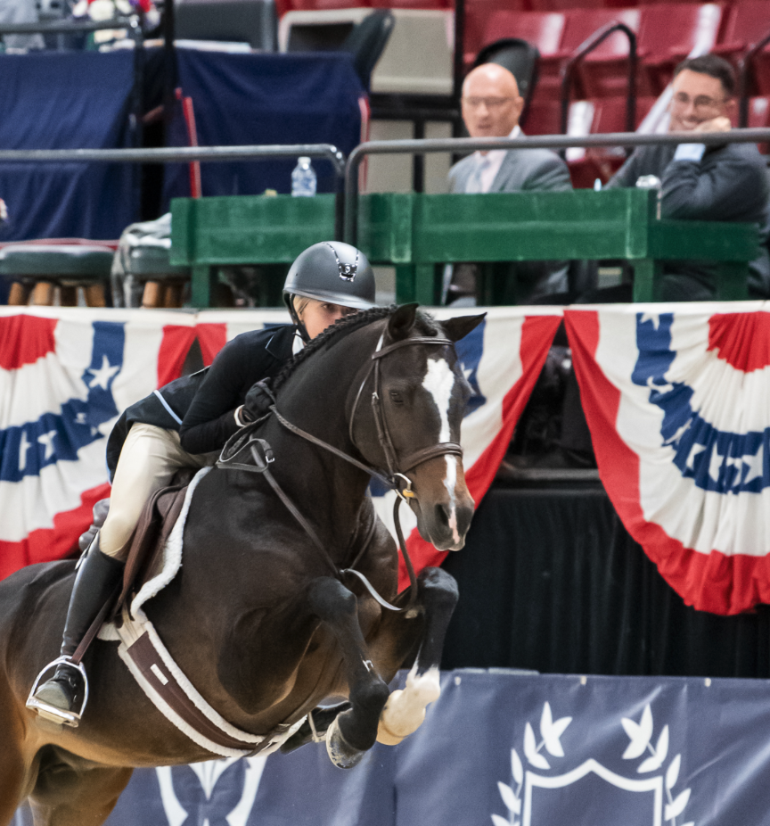 The Judge's Card — Judging Hunters & Equitation