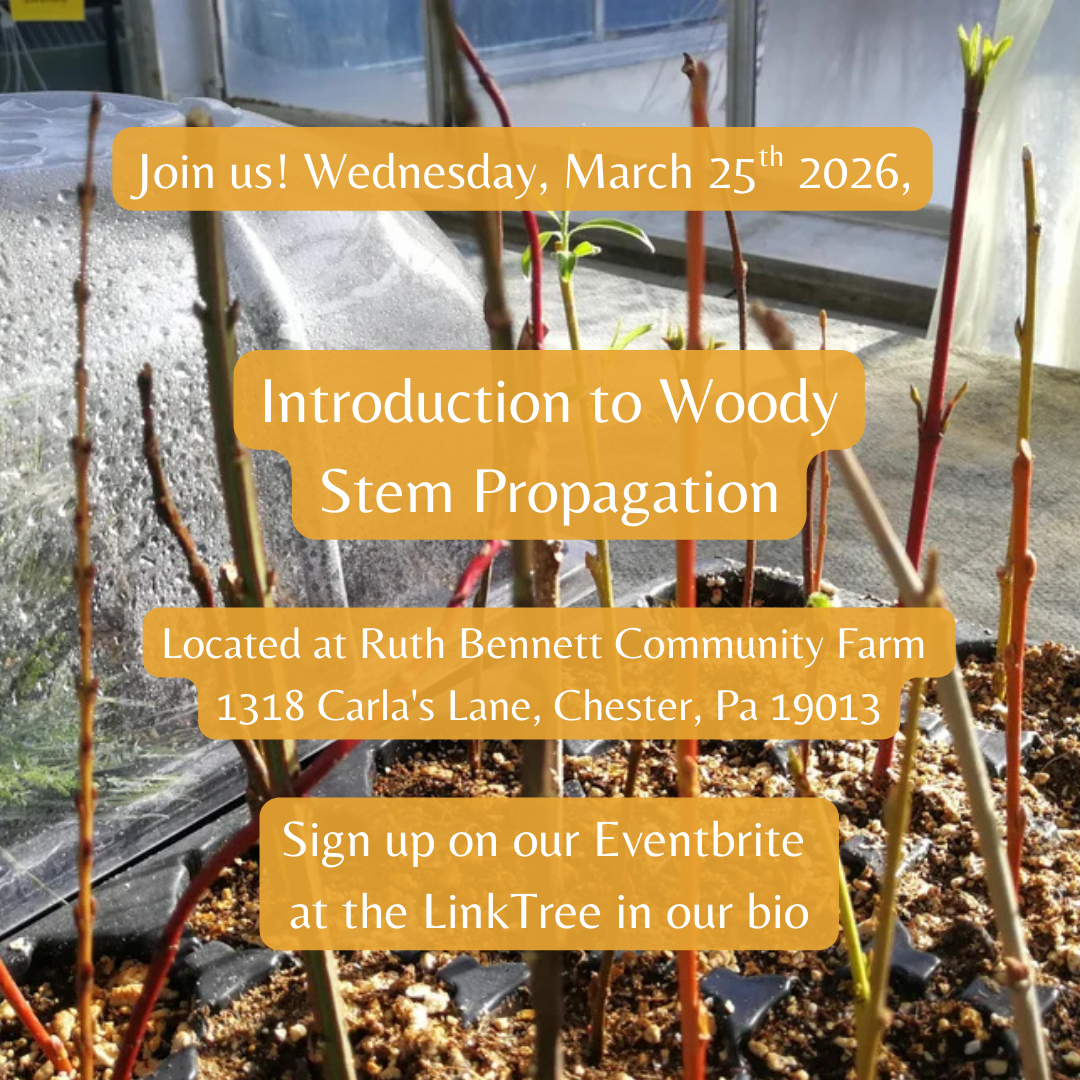 Introduction to Woody Propagation