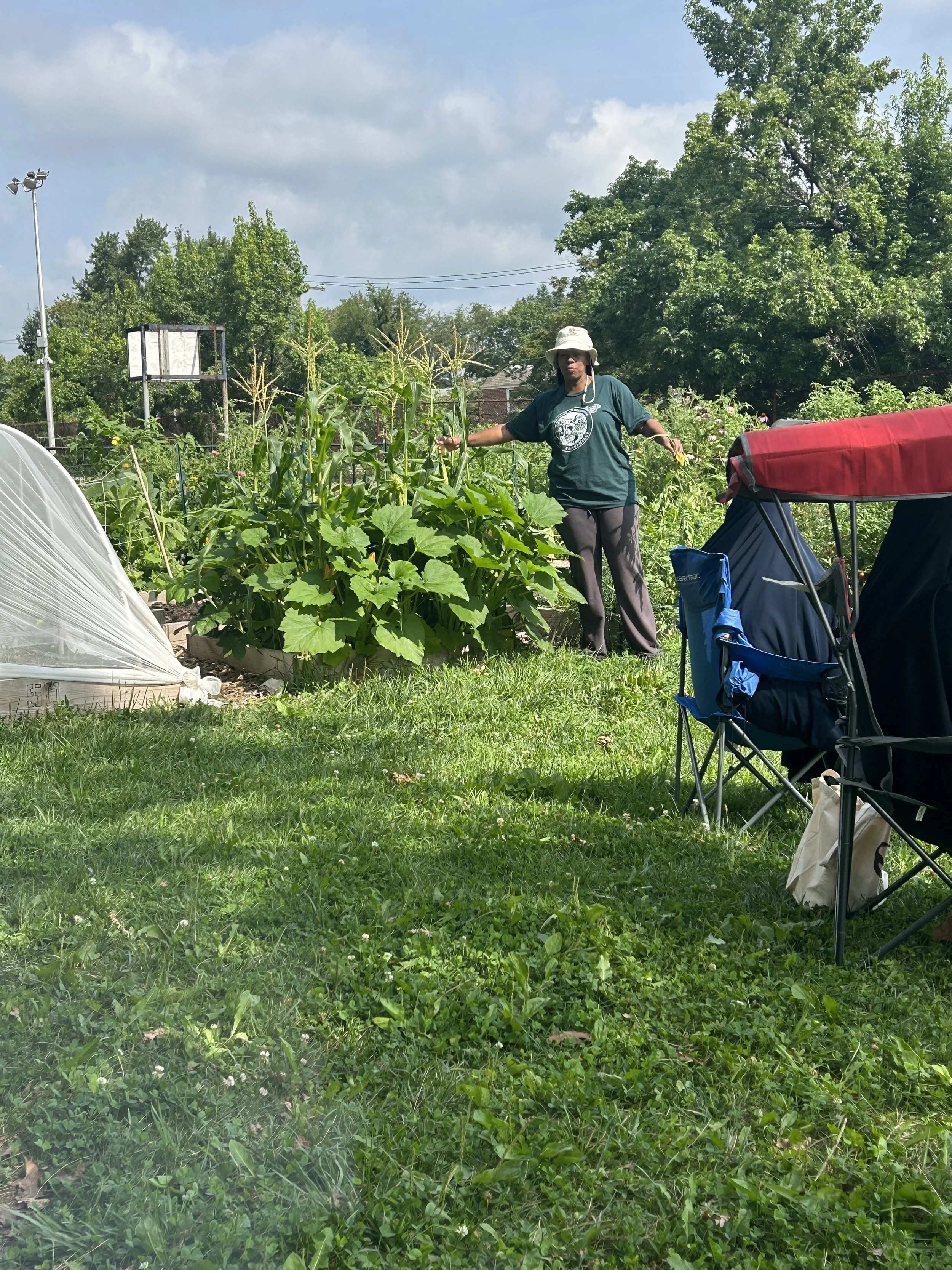Maximizing Fall Vegetables 2023