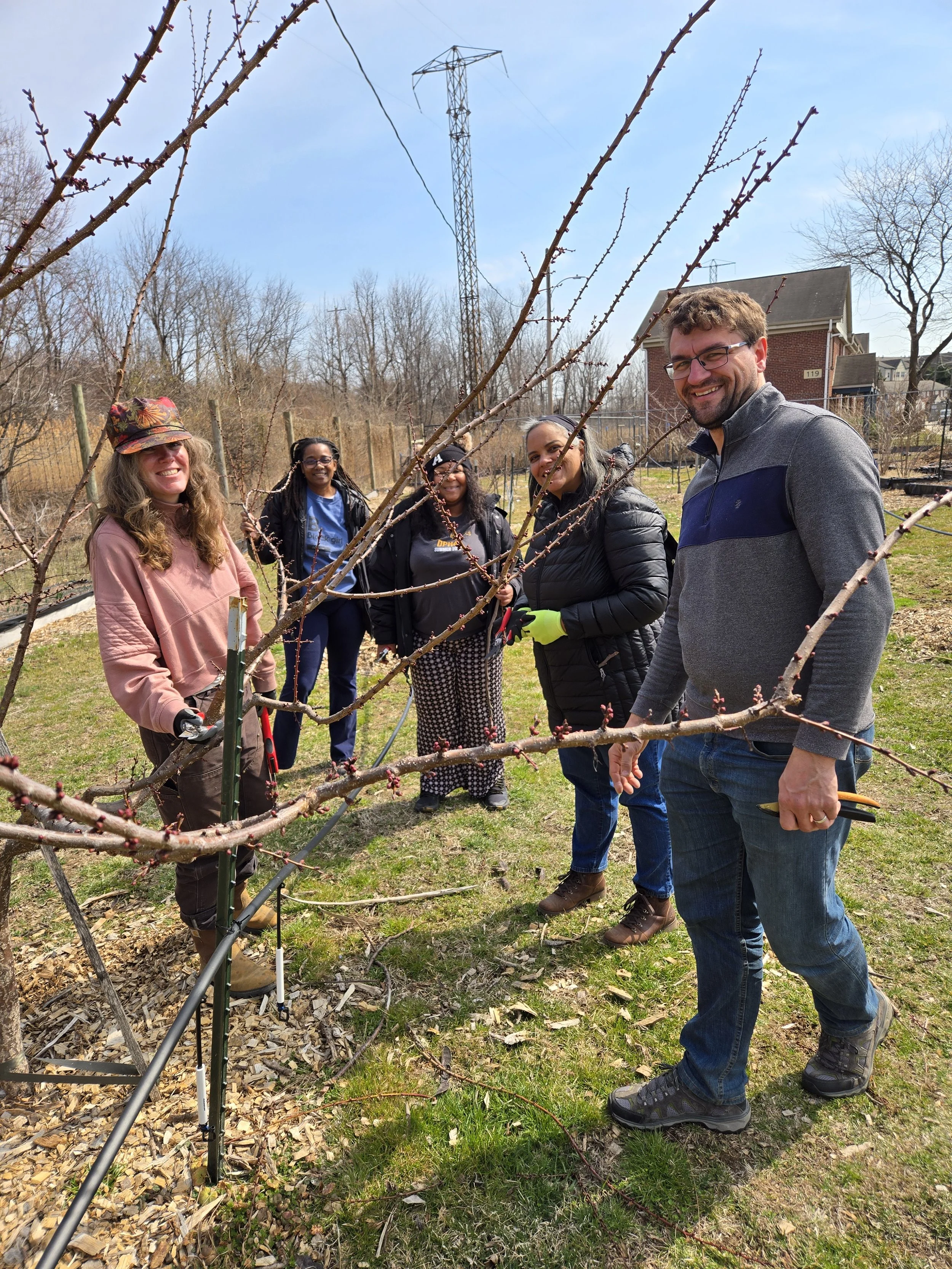 Winter Orchard Pruning 2025