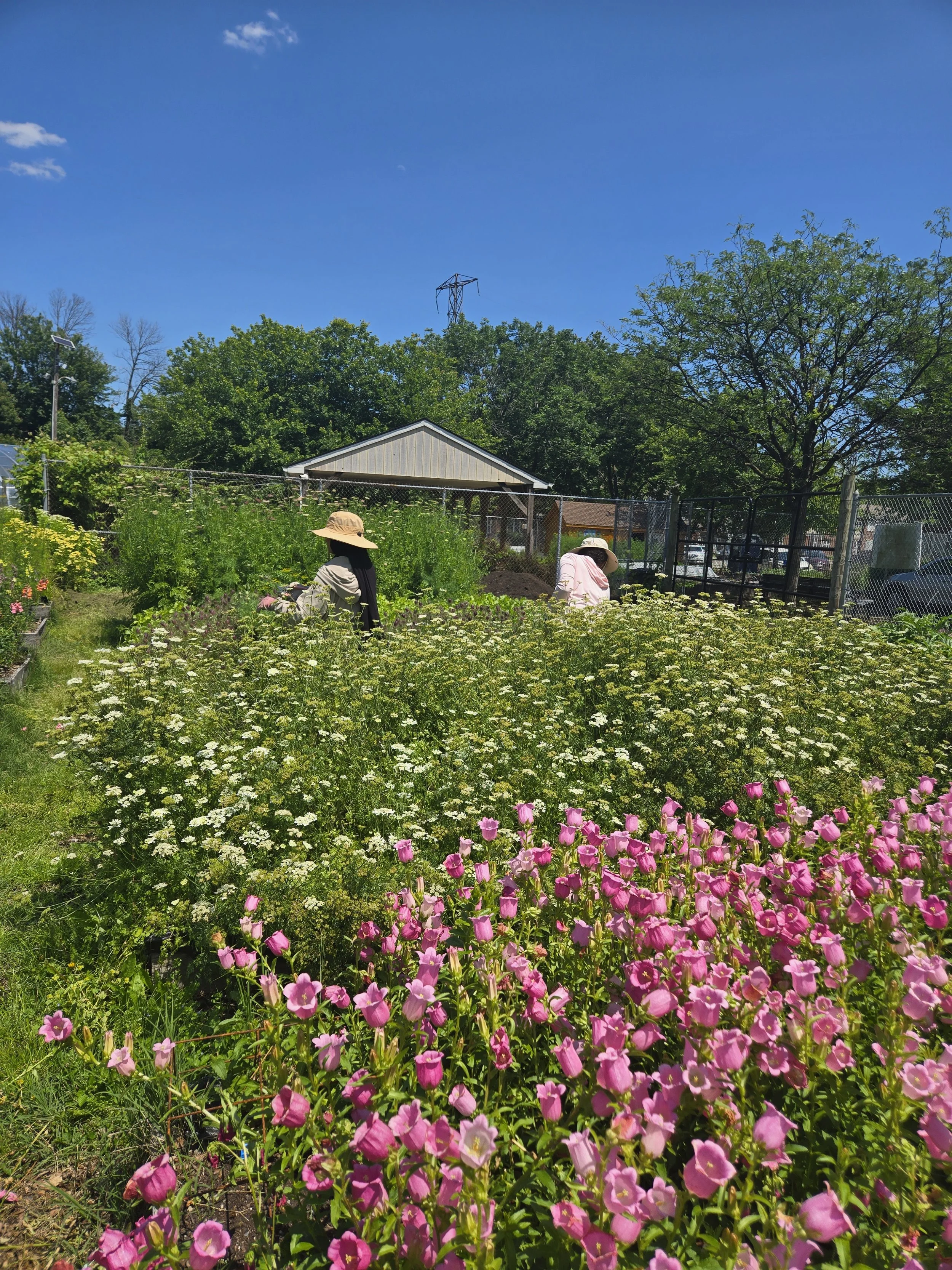 Flower Farming 2025