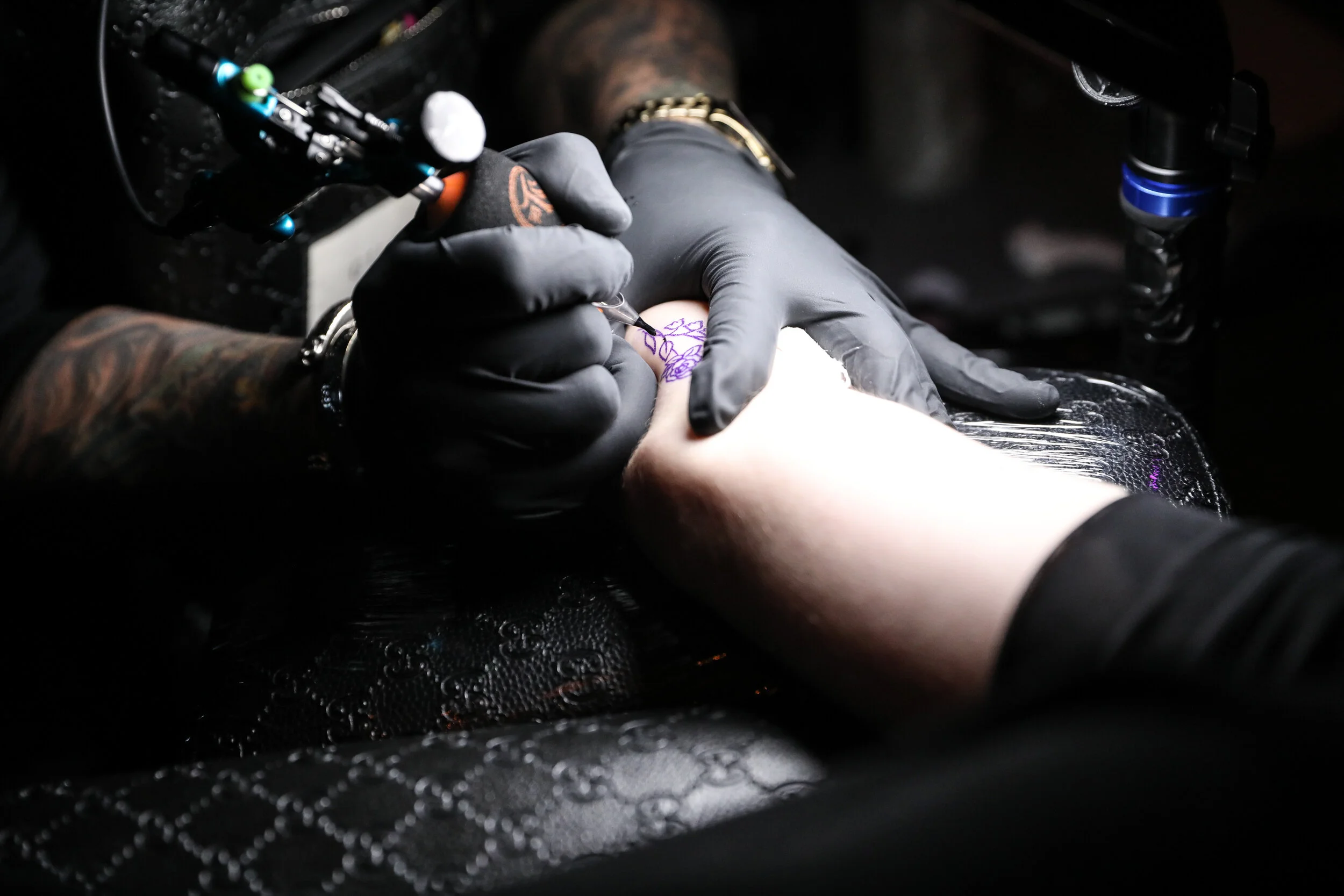 BFA_27495_3438521.jpg