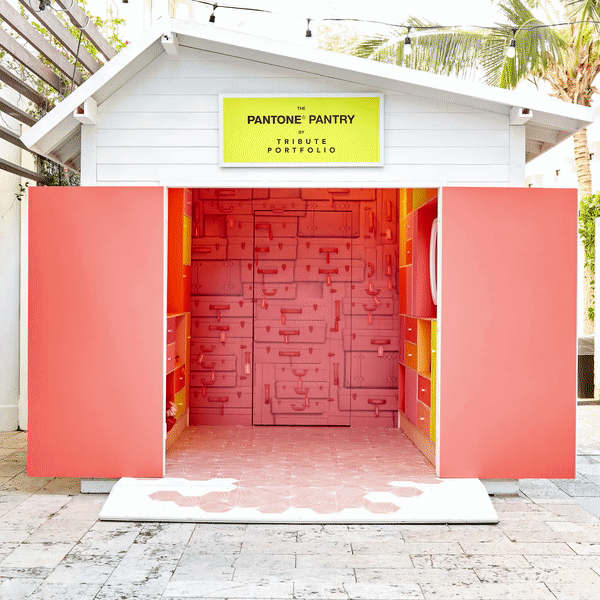 ezgif.com-gif-maker (2).gif