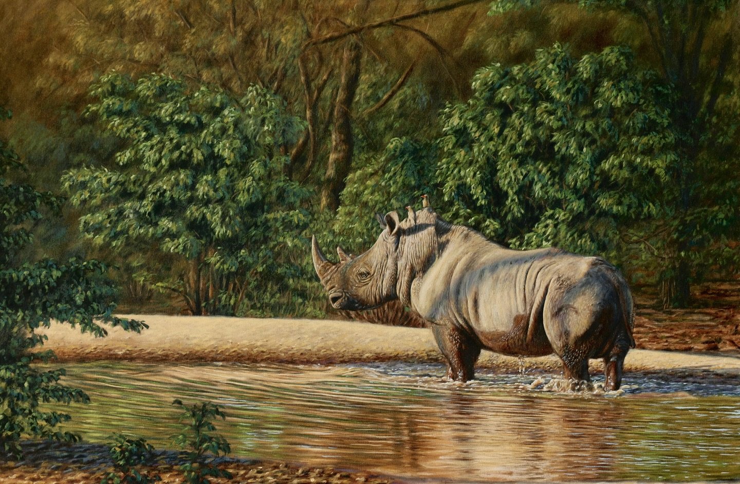 My latest painting, a white rhino bull 🦏 

Absolutely loved painting this beautiful scene from @chishakwe, and it was nice to paint the bush green for a change 🍃
