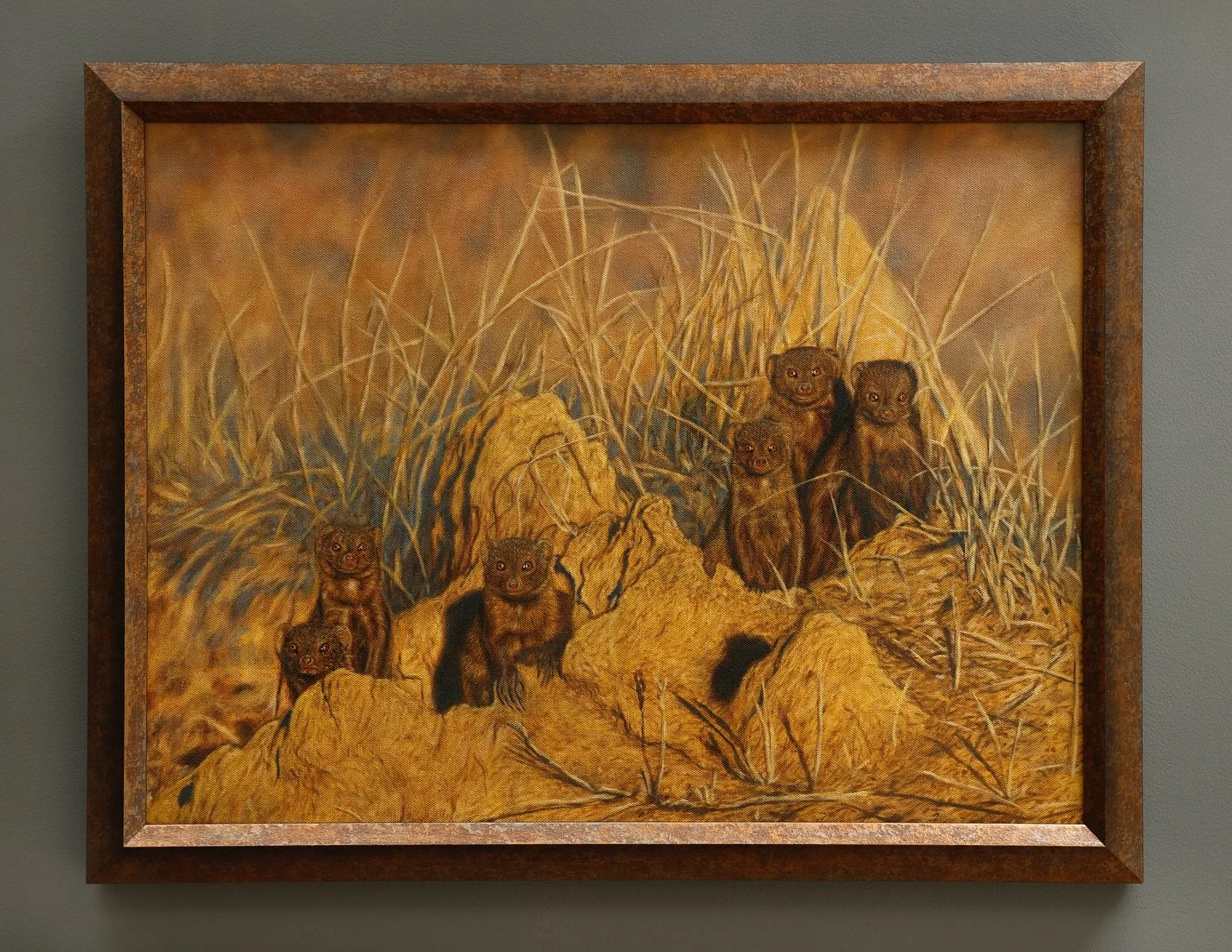 The Clan 🐾
These dwarf mongooses always provide such great entertainment on a game drive. Their curious nature always offers good opportunities for photos 📸