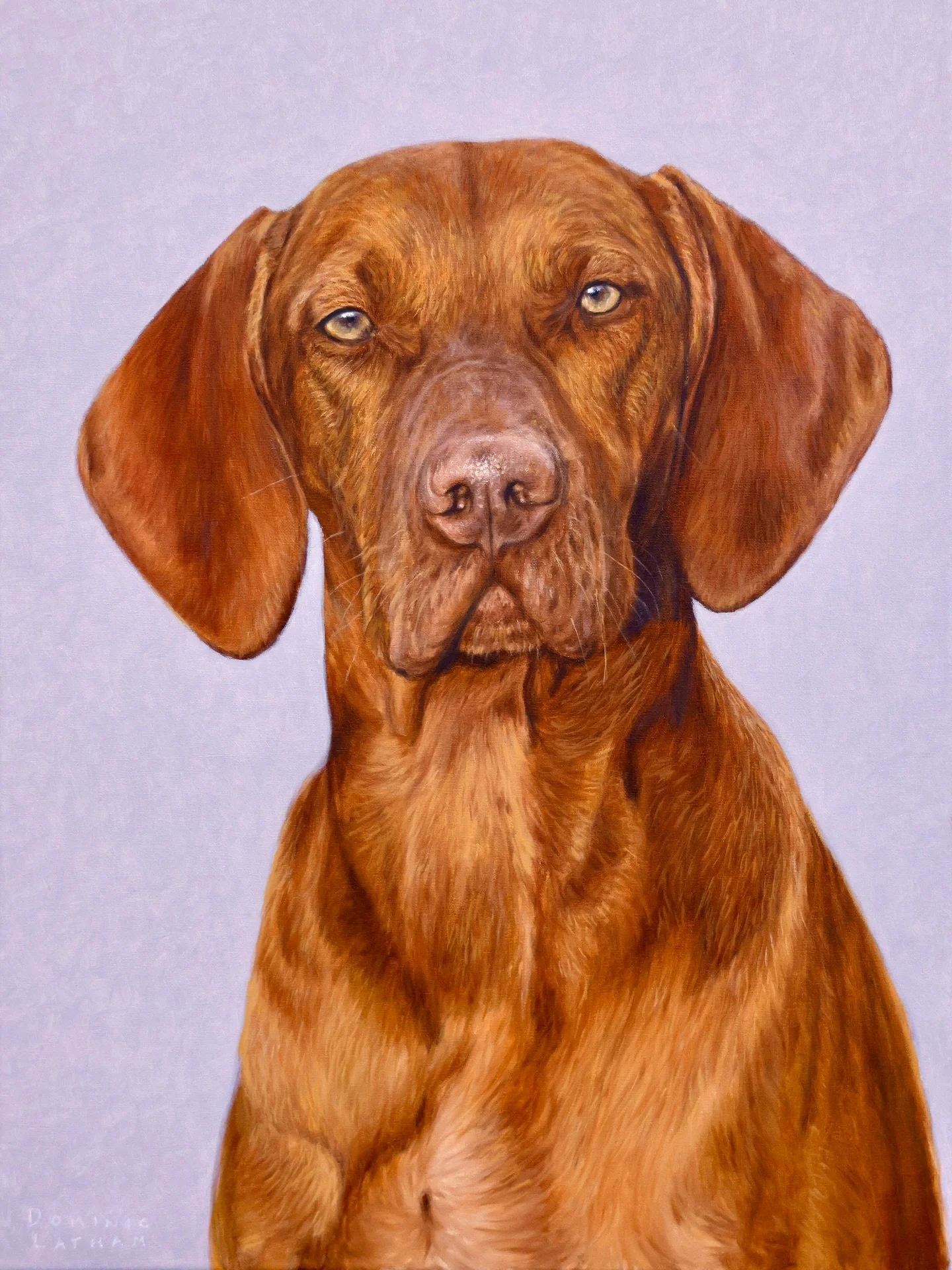 Otto the vizsla 🐕
#PetPortrait #Vizsla #HungarianVizsla #DogPainting #Painting #OilPainting #Olis #OilPortrait #Commission