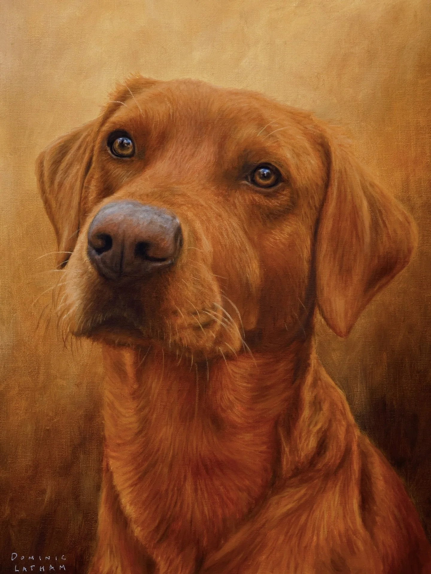 Ozzy the fox red Labrador 🦮
#PetPortrait #OilPainting #DogPainting #Labrador #FoxRed #FoxRedLab #Oils #OilPaint #Commission #Artist