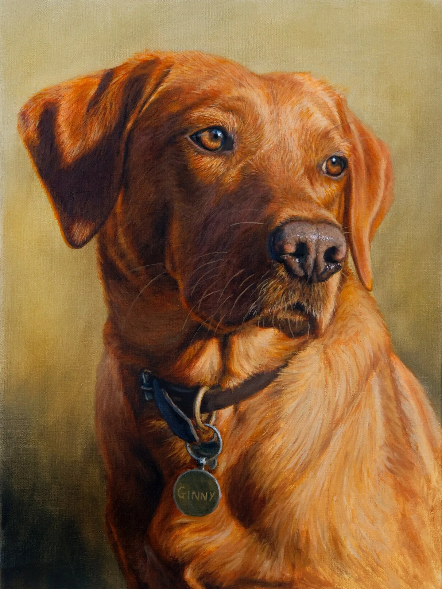 Ginny 🦮 Loving all the Labrador commissions coming in at the moment 🫶🏼
#PetPortrait #OilPainting #DogPainting #Labrador #FoxRed #FoxRedLab #Oils #OilPaint #Commission #Artist