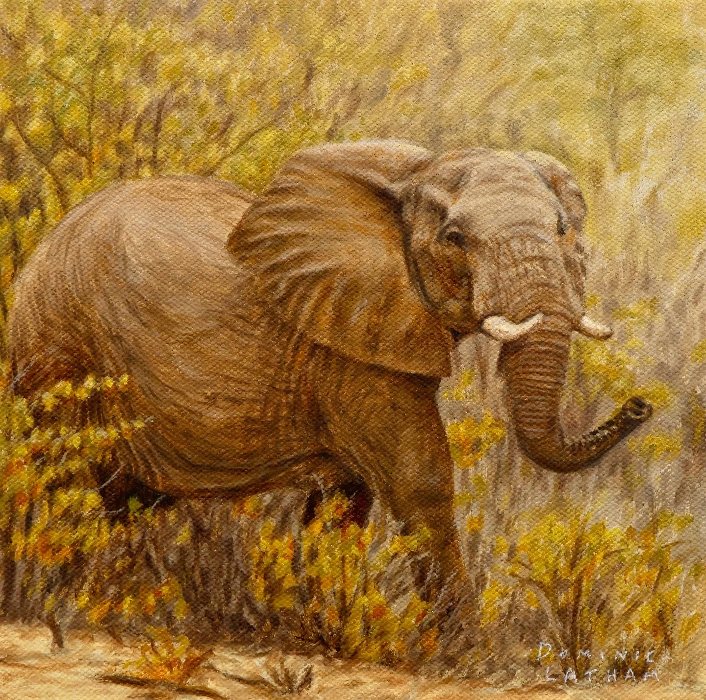 A sweet little 8 by 8 inch elephant painting I did a little while back. Can&rsquo;t wait to get back to my easel soon. Lots of commissions and projects lined up for my return 👨🏼&zwj;🎨