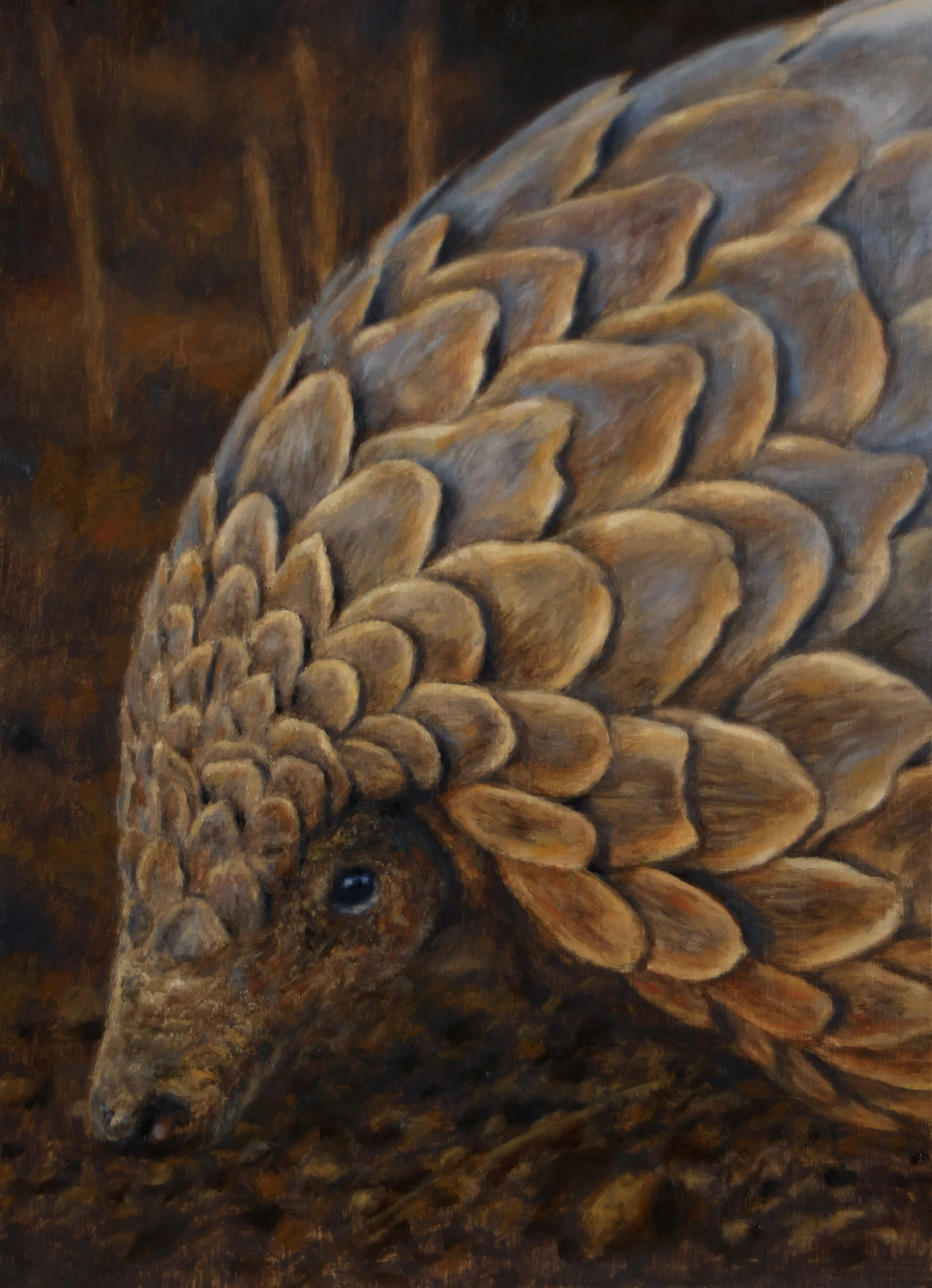 "Small & Scaled" Based on an extremely lucky encounter with a pangolin in Zimbabwe, this painting captures this unique character at a minute scale of only 12x16cm, yet the scale of impact is large. This intimate portrait celebrates one of Africa's mo