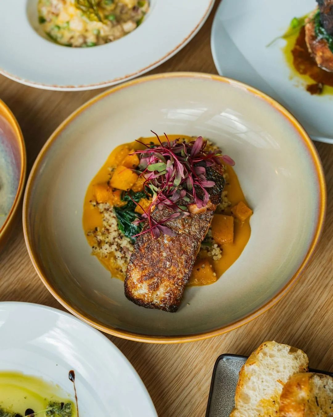 As the leaves turn and the weather cools, the menu at @rosetaverncdga is changing too. Settle into a window seat and enjoy the cozy warmth of fire-roasted dishes like the Farro Island salmon, Gnudi pasta, and local pork chop, or sip on a signature co