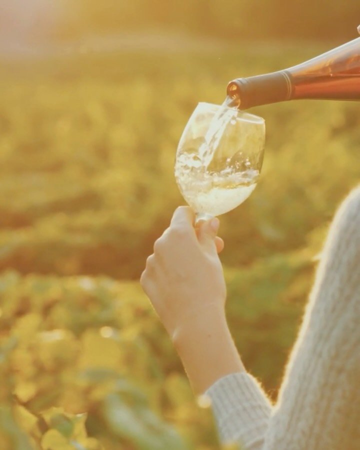 Big news for our backyard &mdash; the Finger Lakes has been named 2025&rsquo;s Wine Region of the Year! With more than 140 wineries across 11 lakes, this region is a haven for wine lovers &mdash; where rolling hills, lakeside views, and world-class v