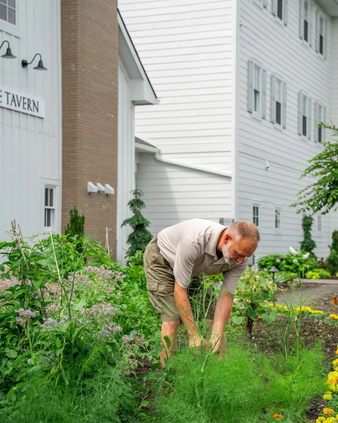 Happy Earth Day from The Lake House. 🌎💚 With our Beyond Green certification, sustainability is at the heart of everything we do. From refillable bottles in every room, to our gardens which provide herbs, flowers, and botanicals for many of our spa 